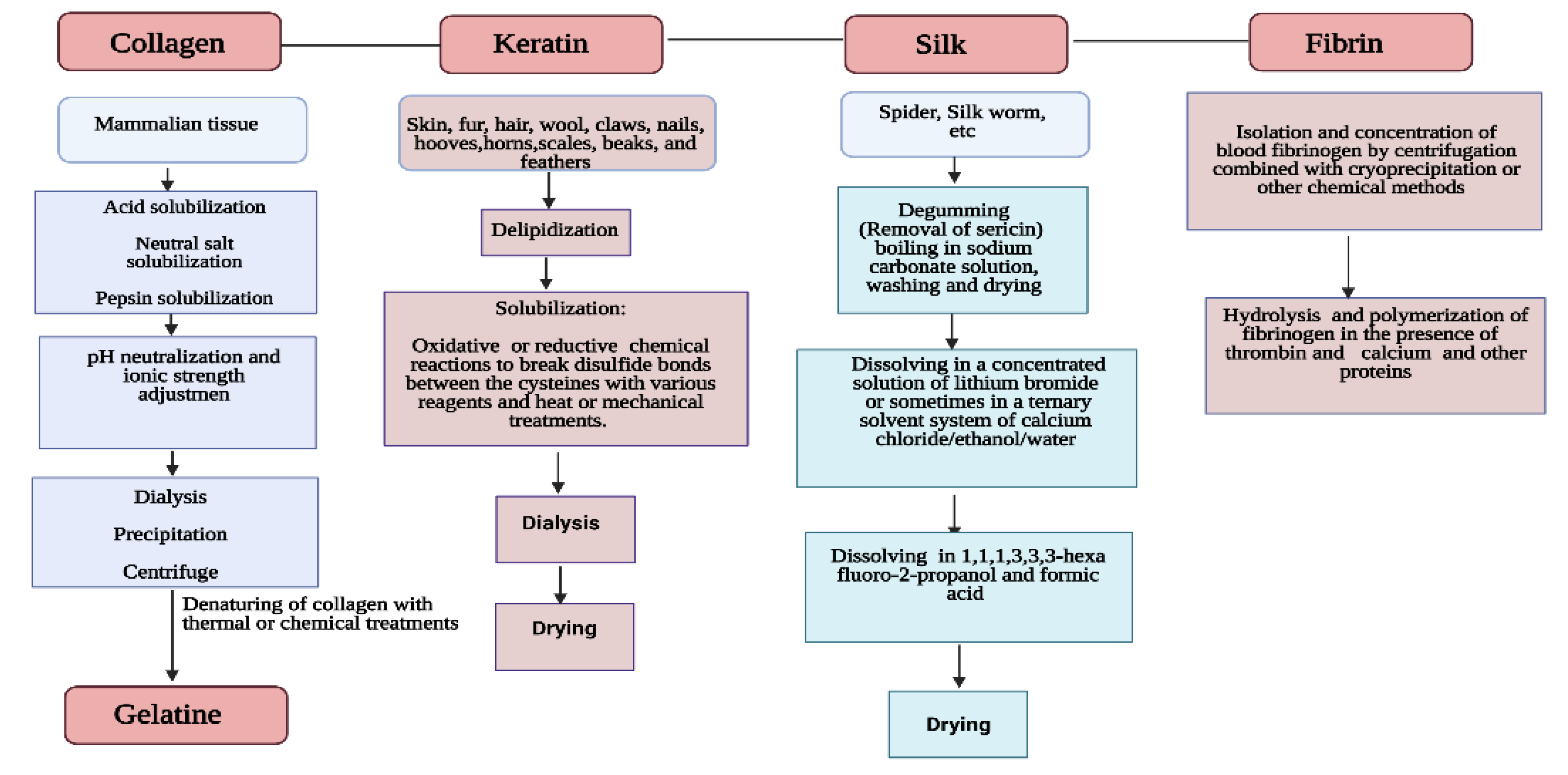 Bioengineering 08 00048 g001