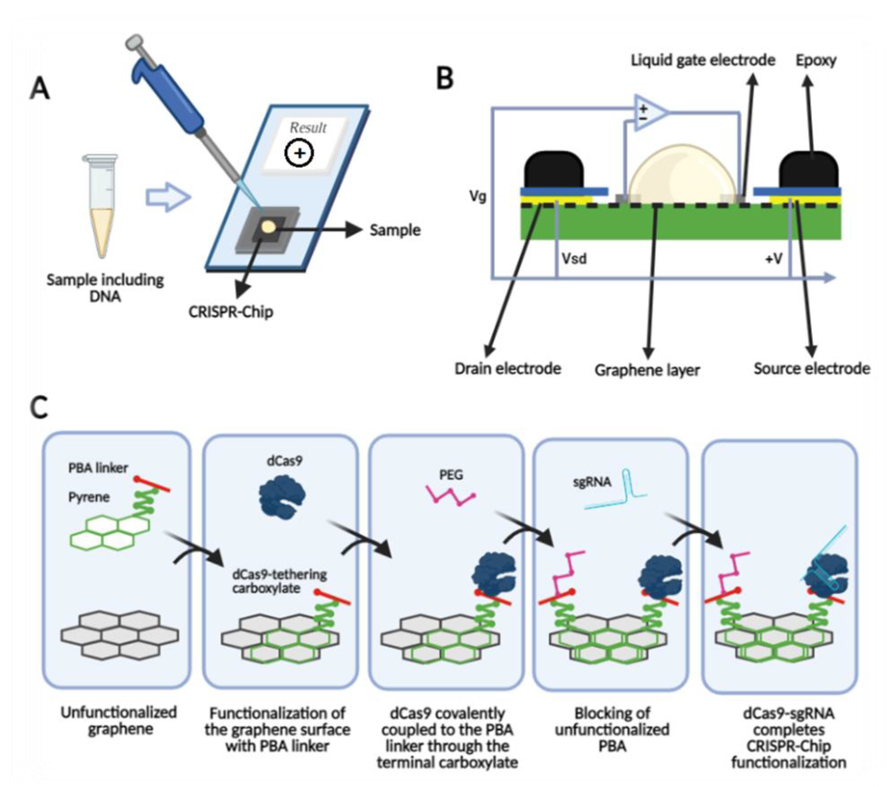 Bioengineering 08 00049 g003 Bioengineering 08 00049 g003