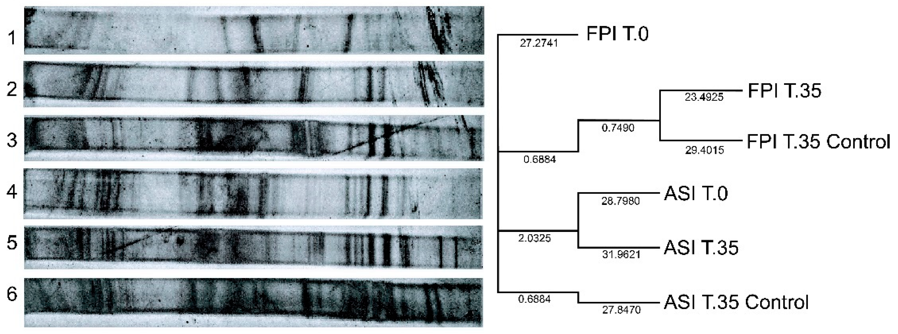 Bioengineering 08 00055 g004