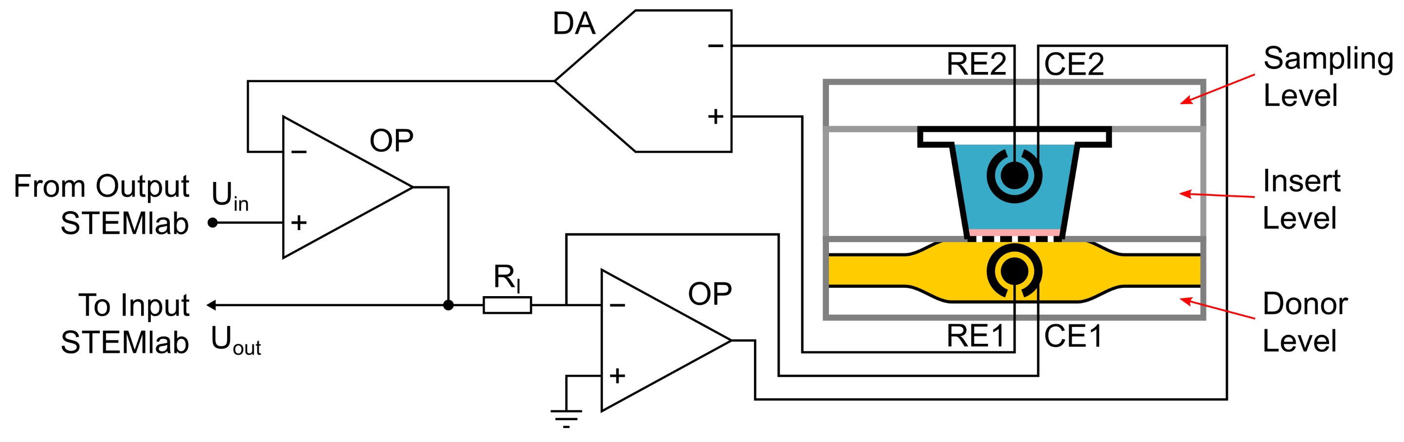 Bioengineering 08 00058 g002