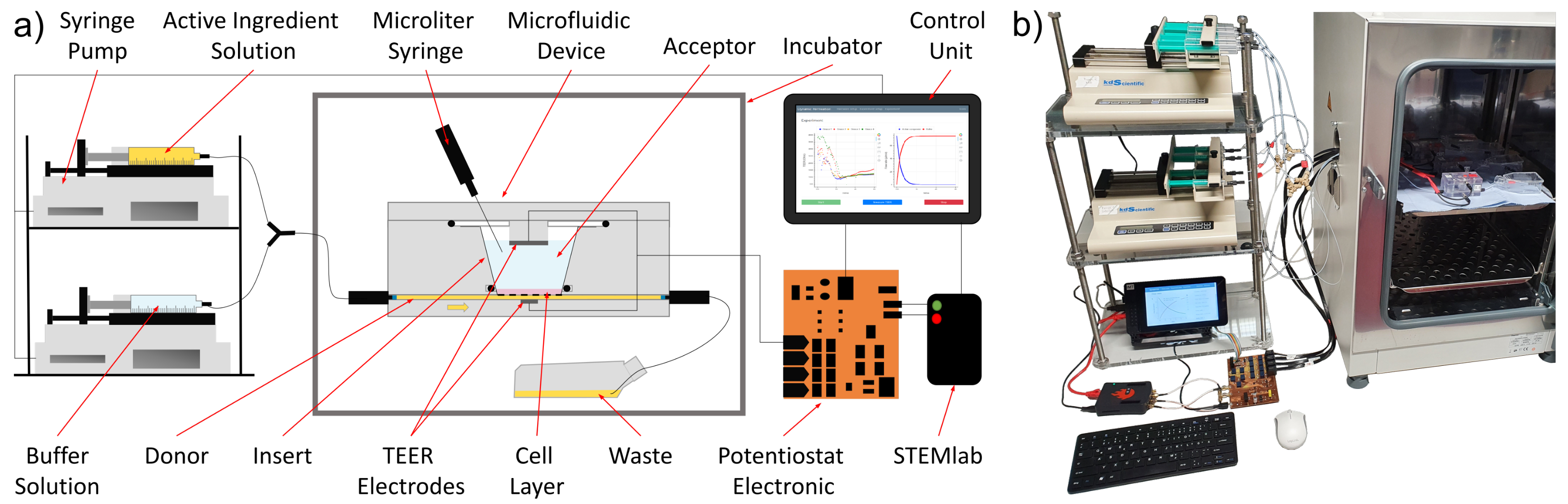 Bioengineering 08 00058 g003