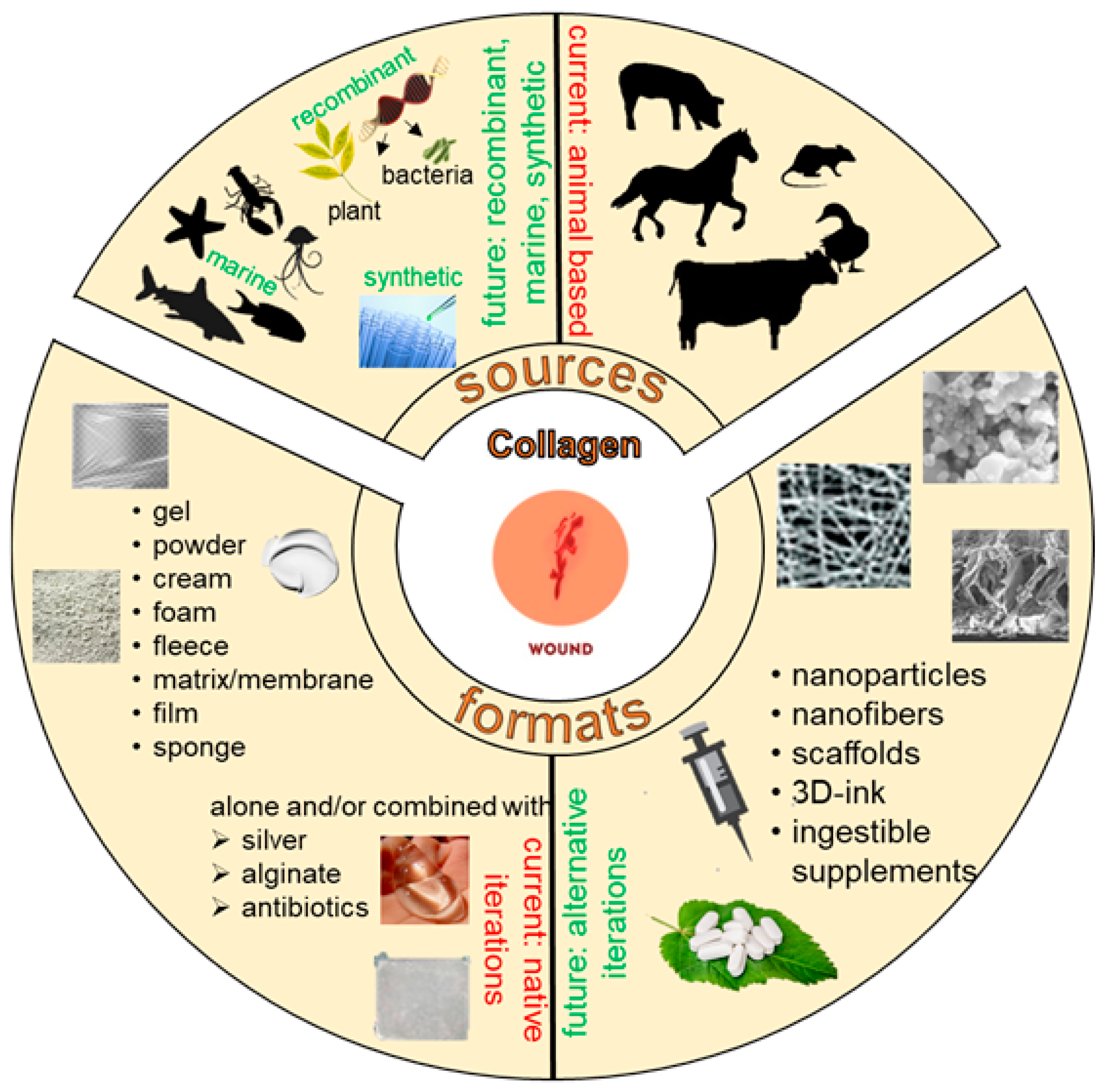 Bioengineering 08 00063 g002