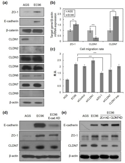 Bioengineering 08 00065 g003