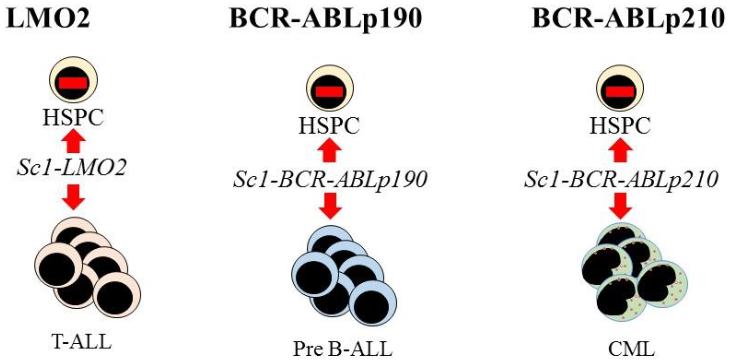 Bioengineering 08 00067 g003 Bioengineering 08 00067 g003