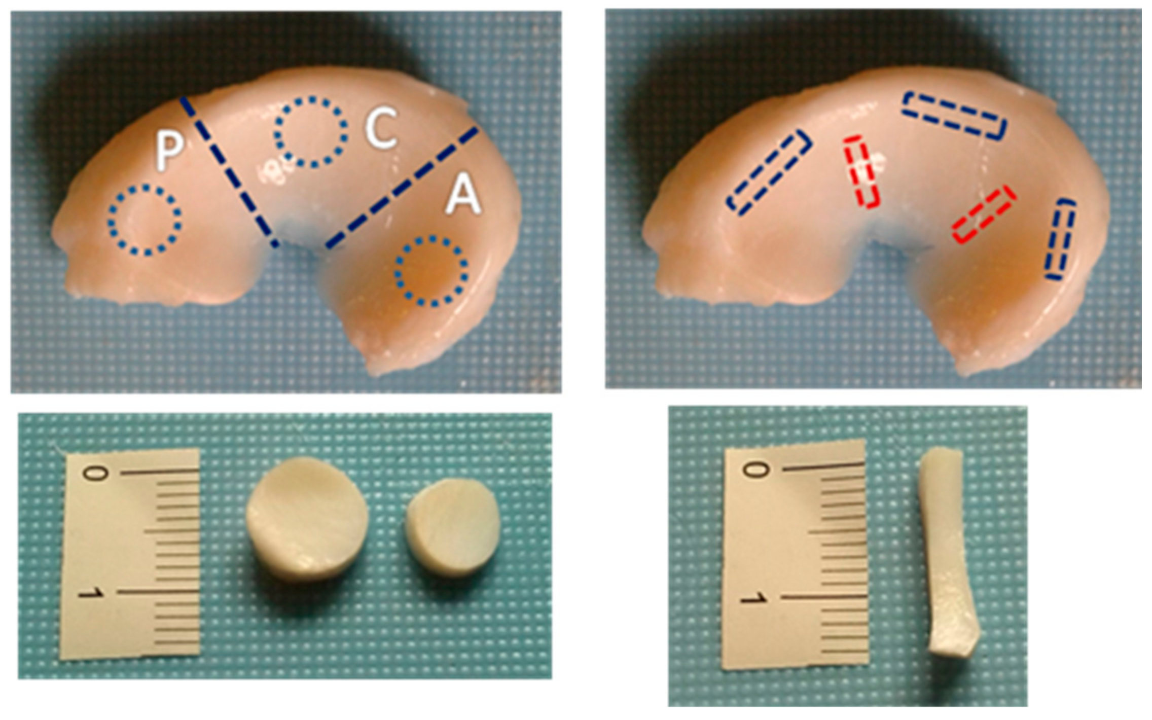 Bioengineering 08 00070 g001