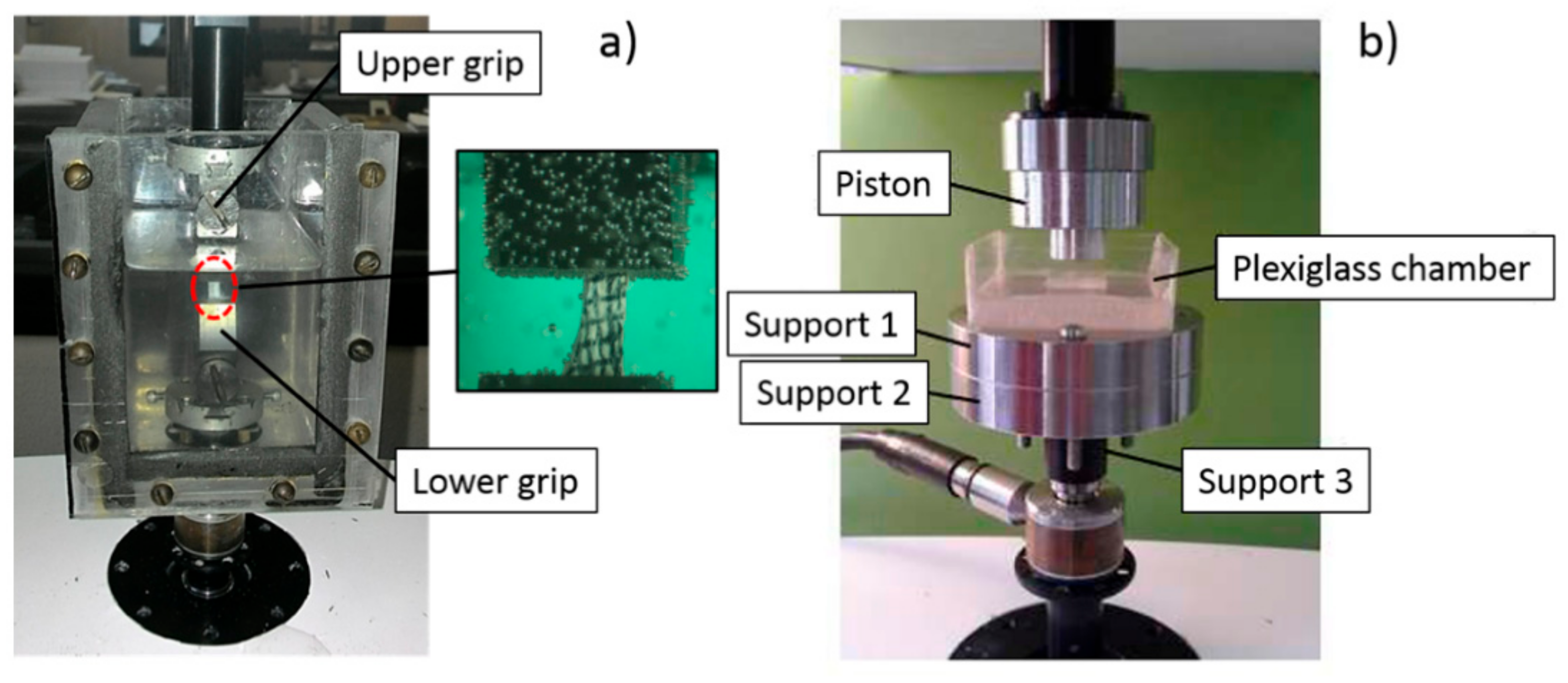Bioengineering 08 00070 g002