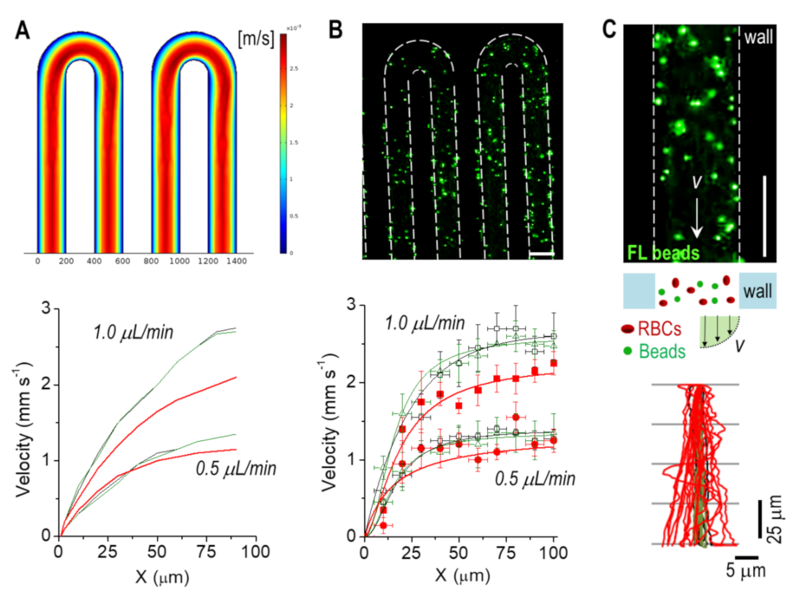 Bioengineering 08 00081 g002 Bioengineering 08 00081 g002