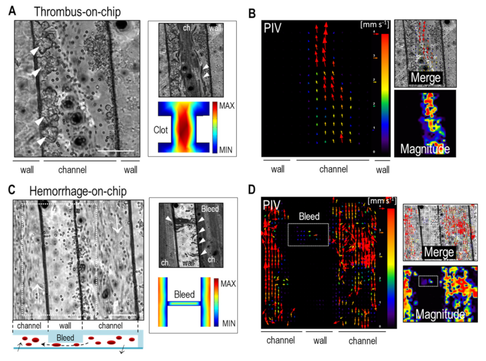 Bioengineering 08 00081 g004 Bioengineering 08 00081 g004