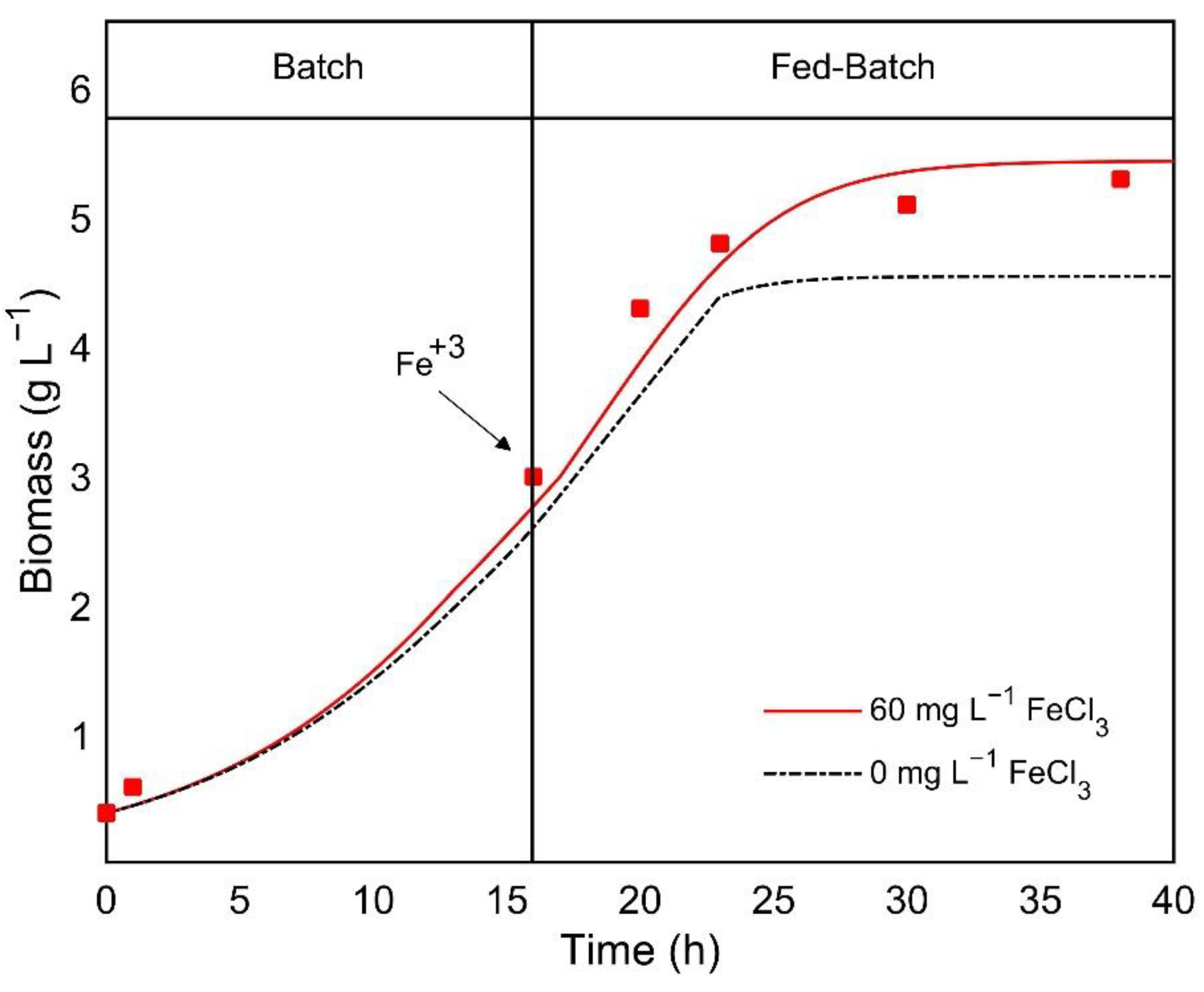 Bioengineering 08 00082 g004