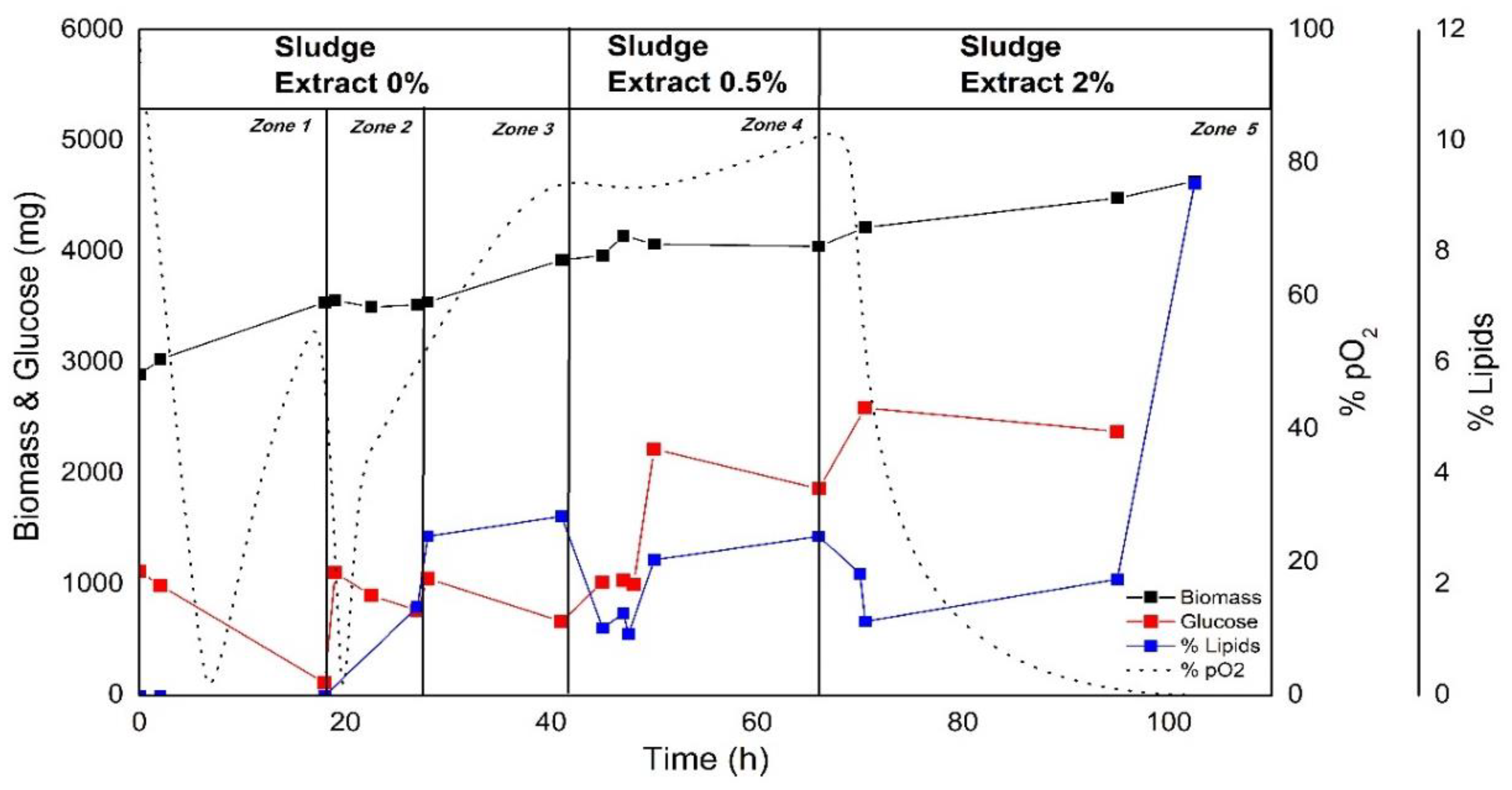 Bioengineering 08 00082 g005