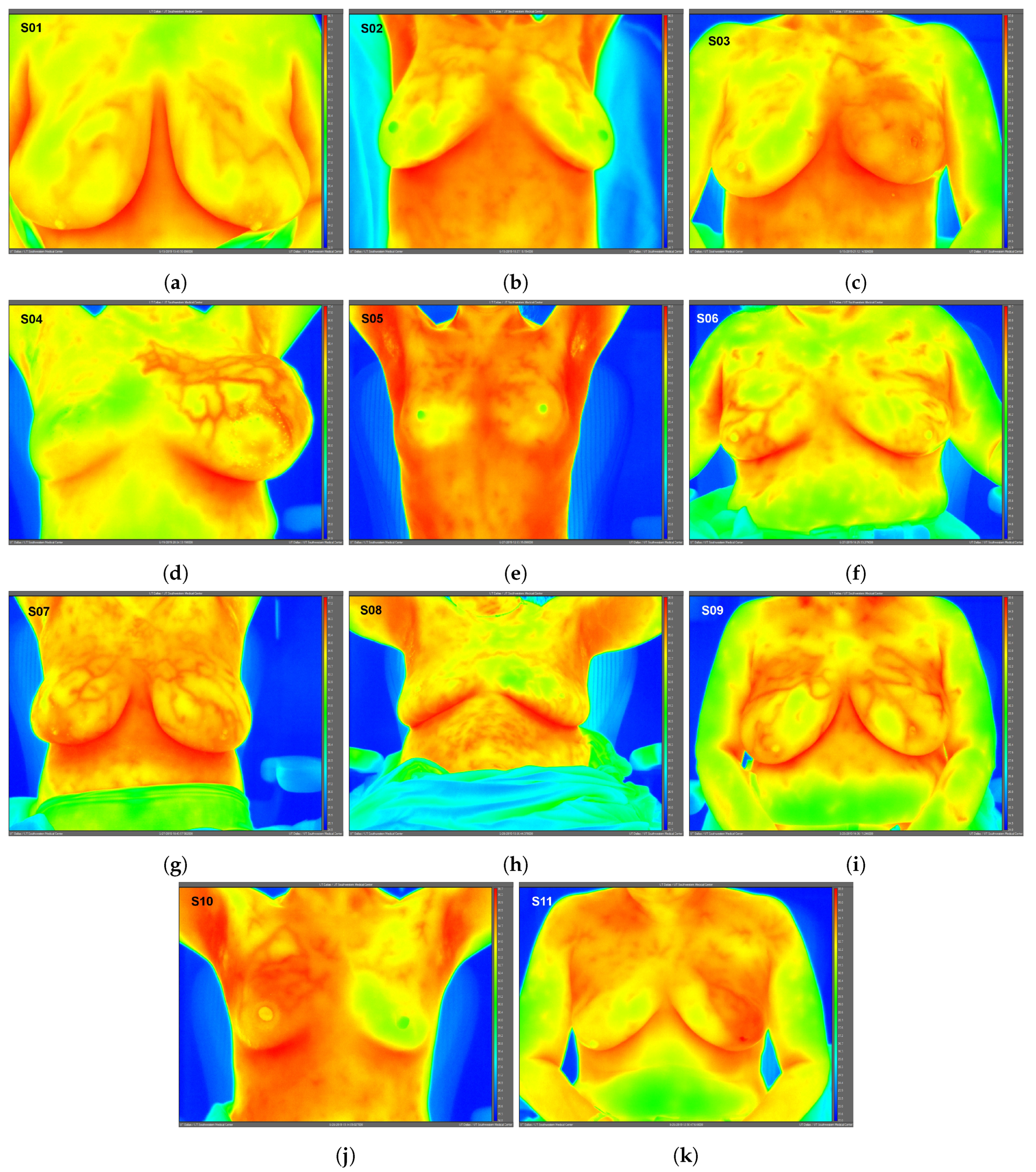 Bioengineering 08 00086 g001