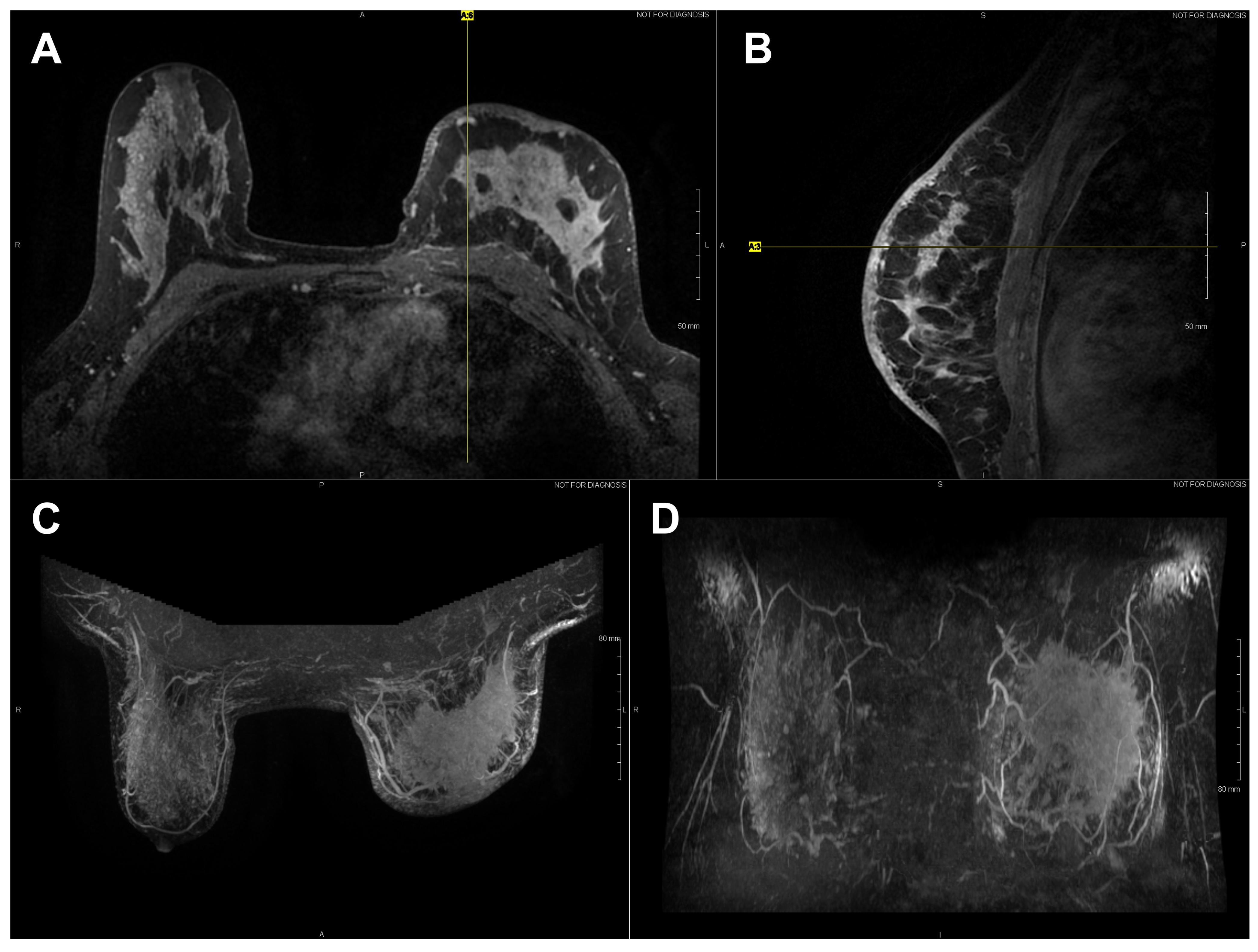 Bioengineering 08 00086 g003