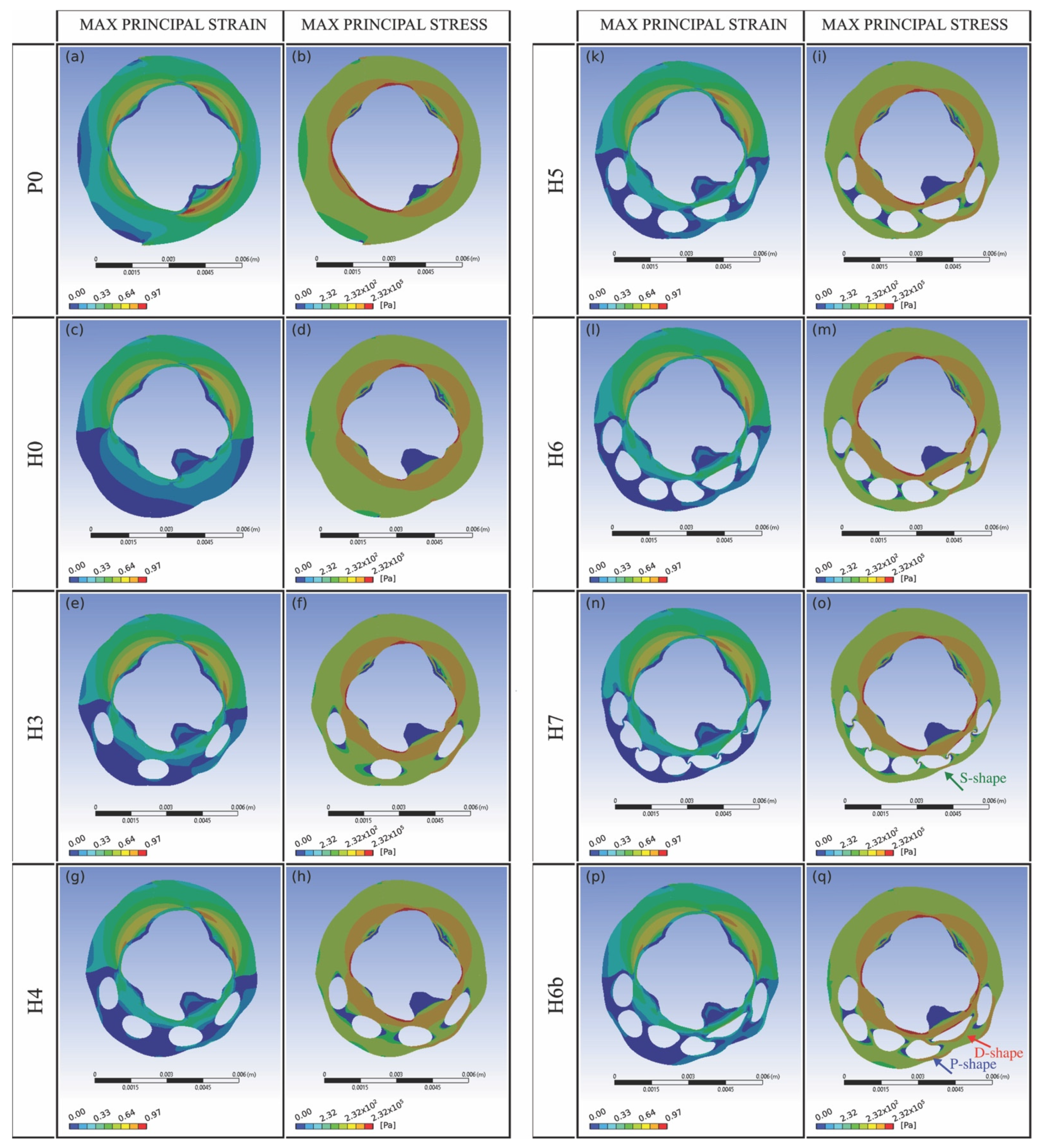 Bioengineering 08 00087 g005