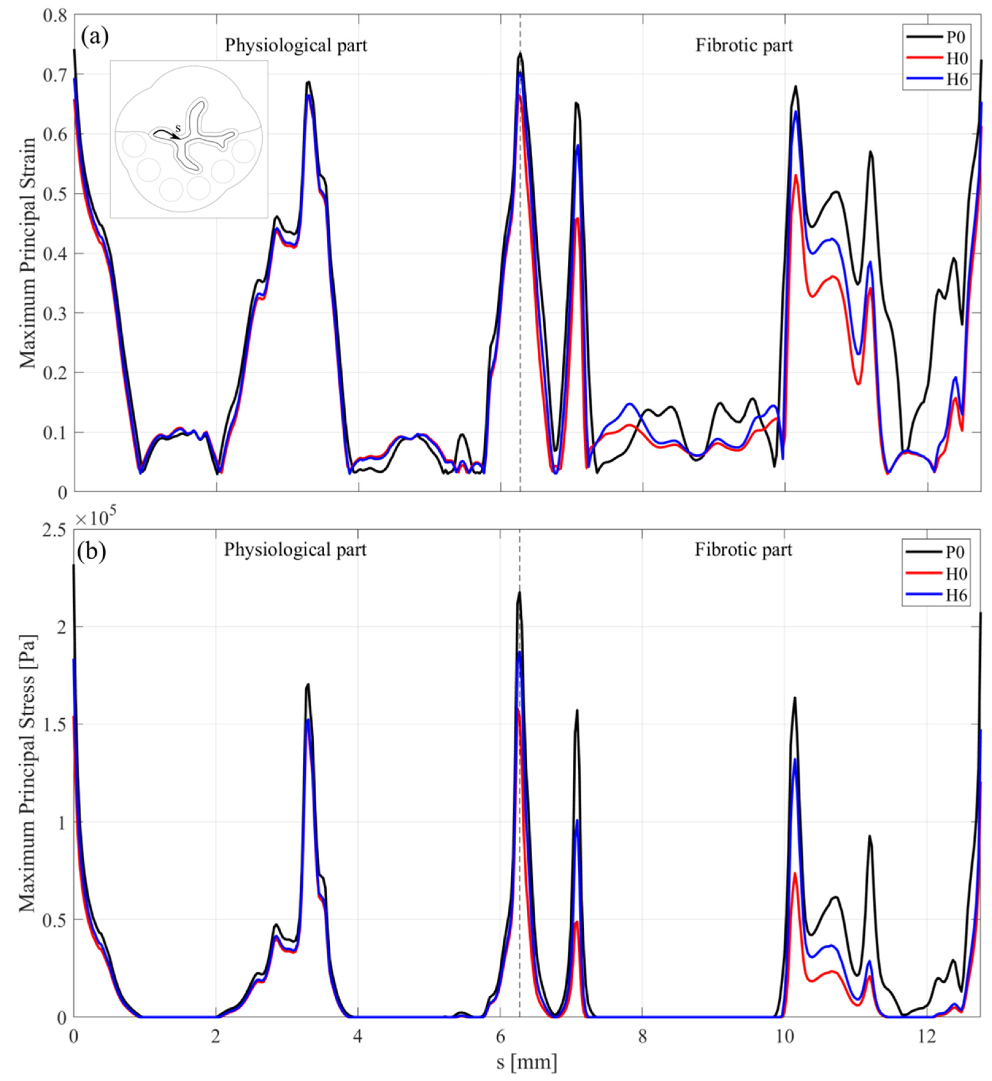 Bioengineering 08 00087 g007