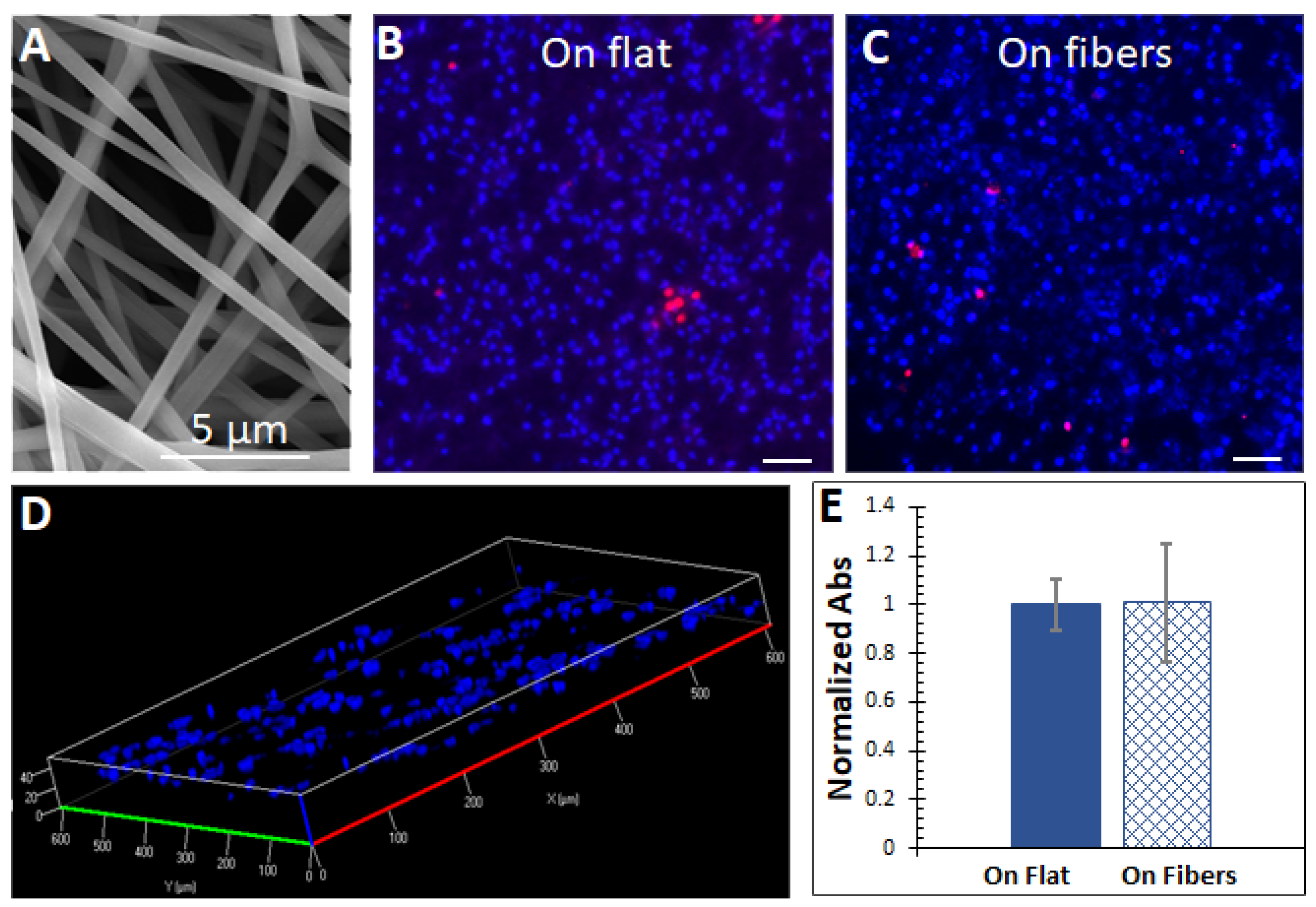 Bioengineering 08 00088 g001
