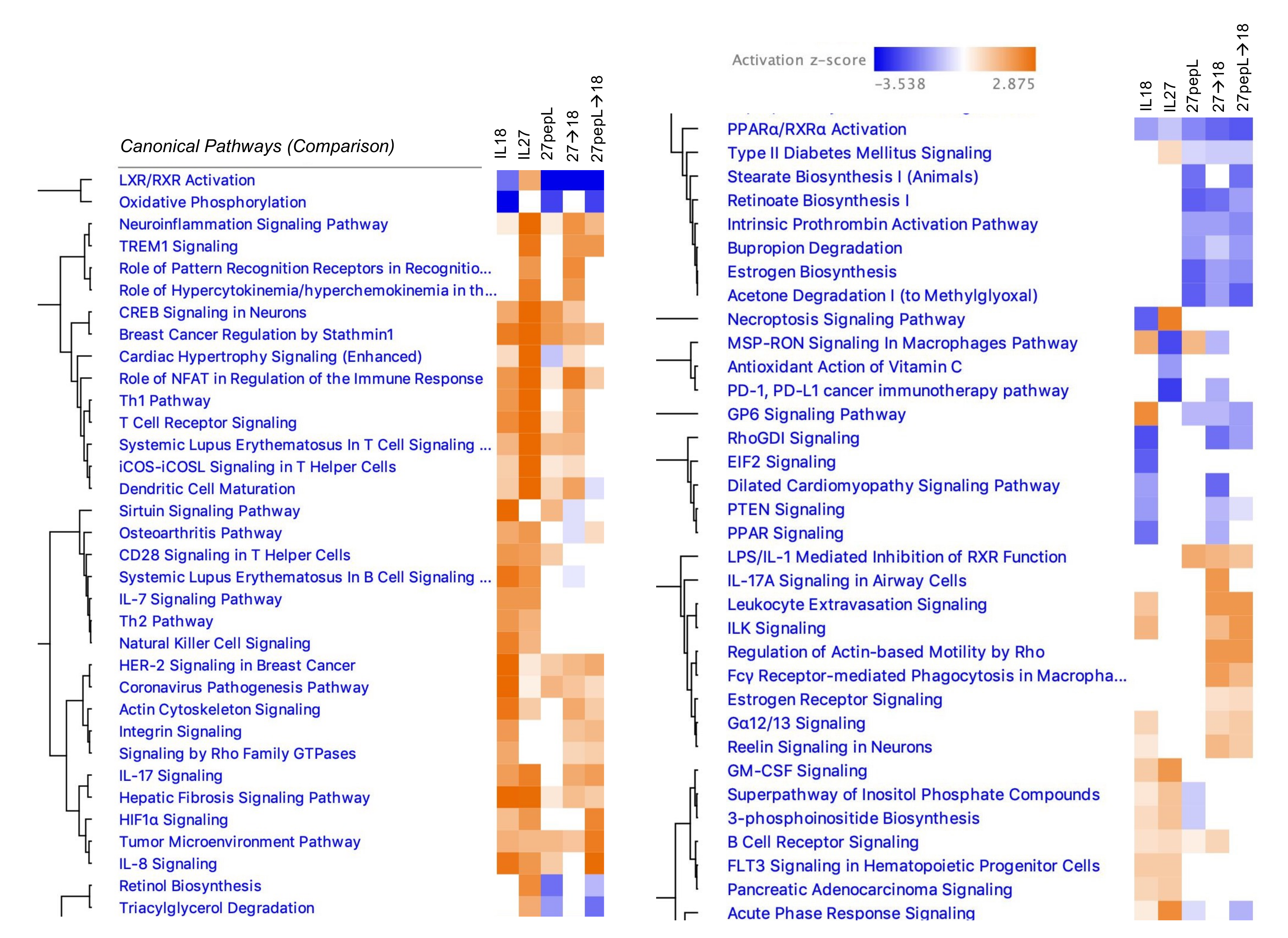 Bioengineering 08 00090 g003