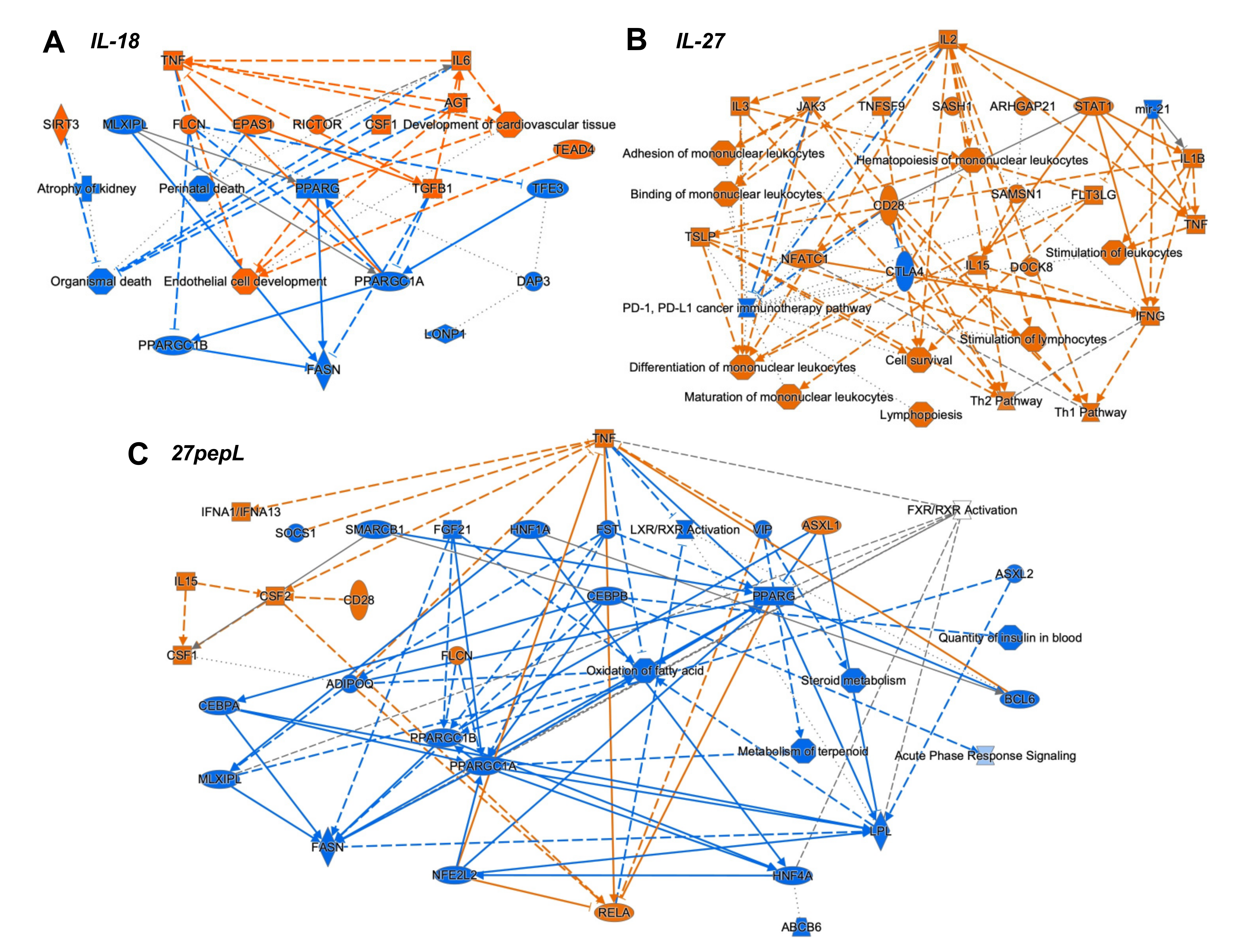 Bioengineering 08 00090 g004