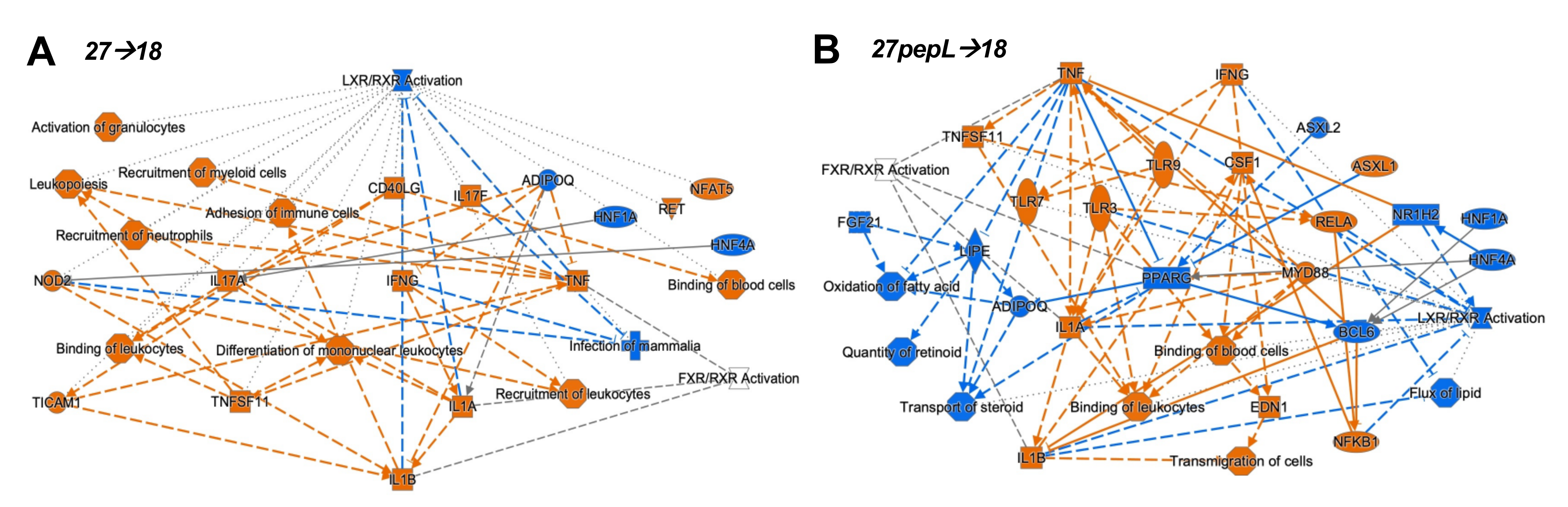 Bioengineering 08 00090 g005