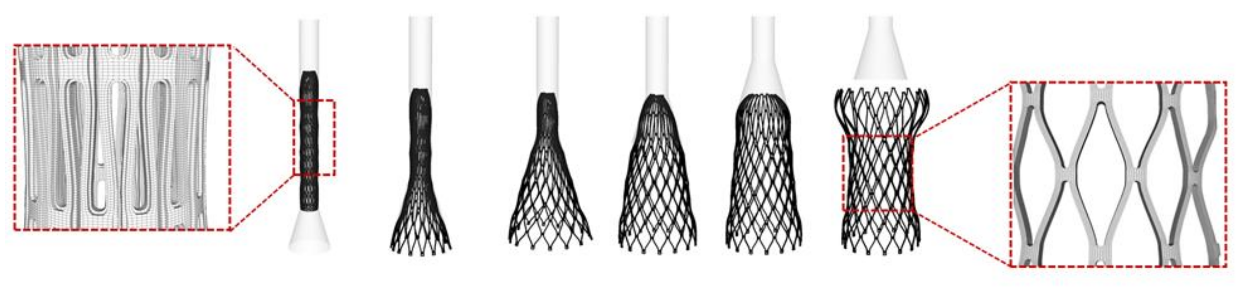 Bioengineering 08 00091 g001