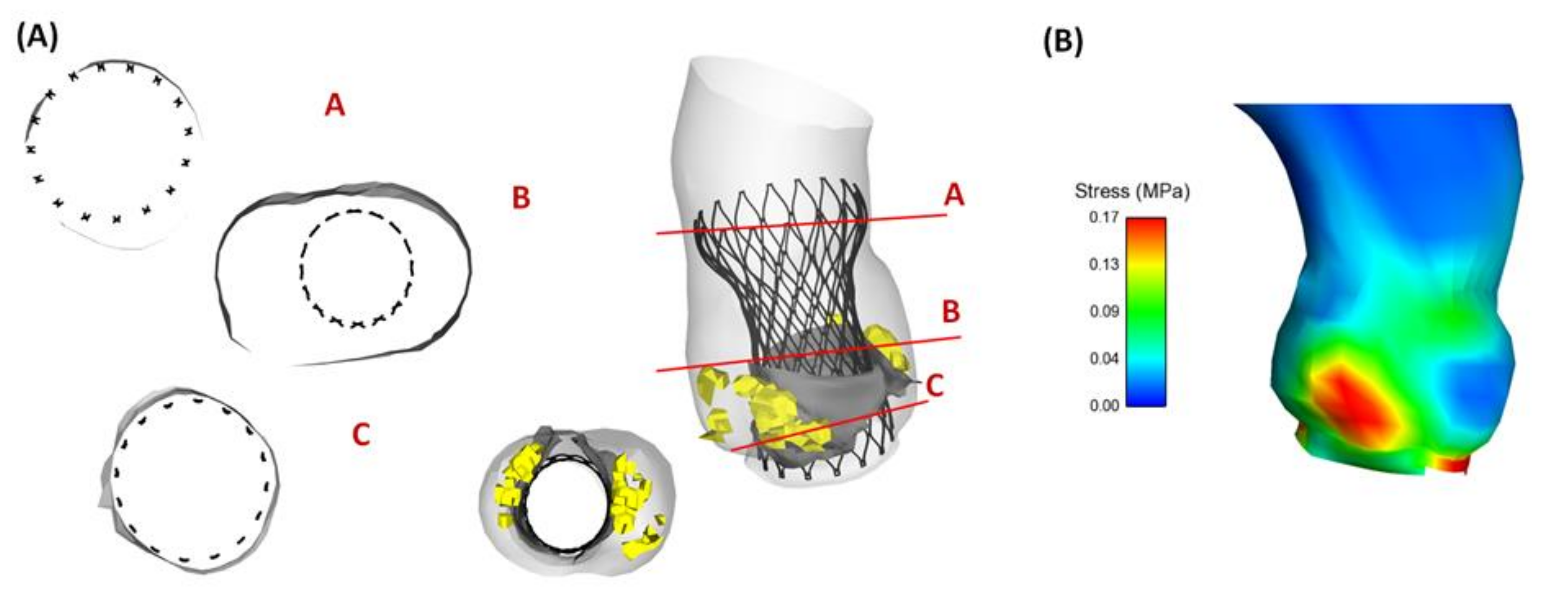 Bioengineering 08 00091 g003