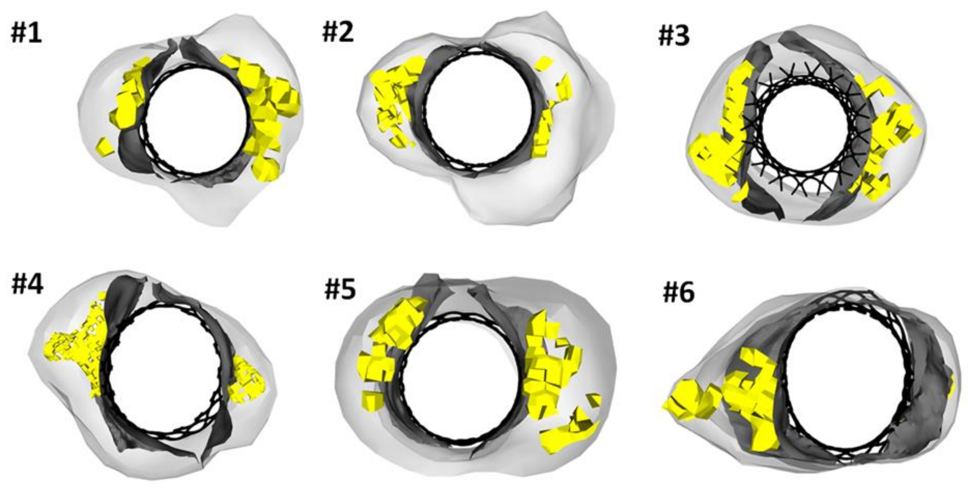 Bioengineering 08 00091 g004