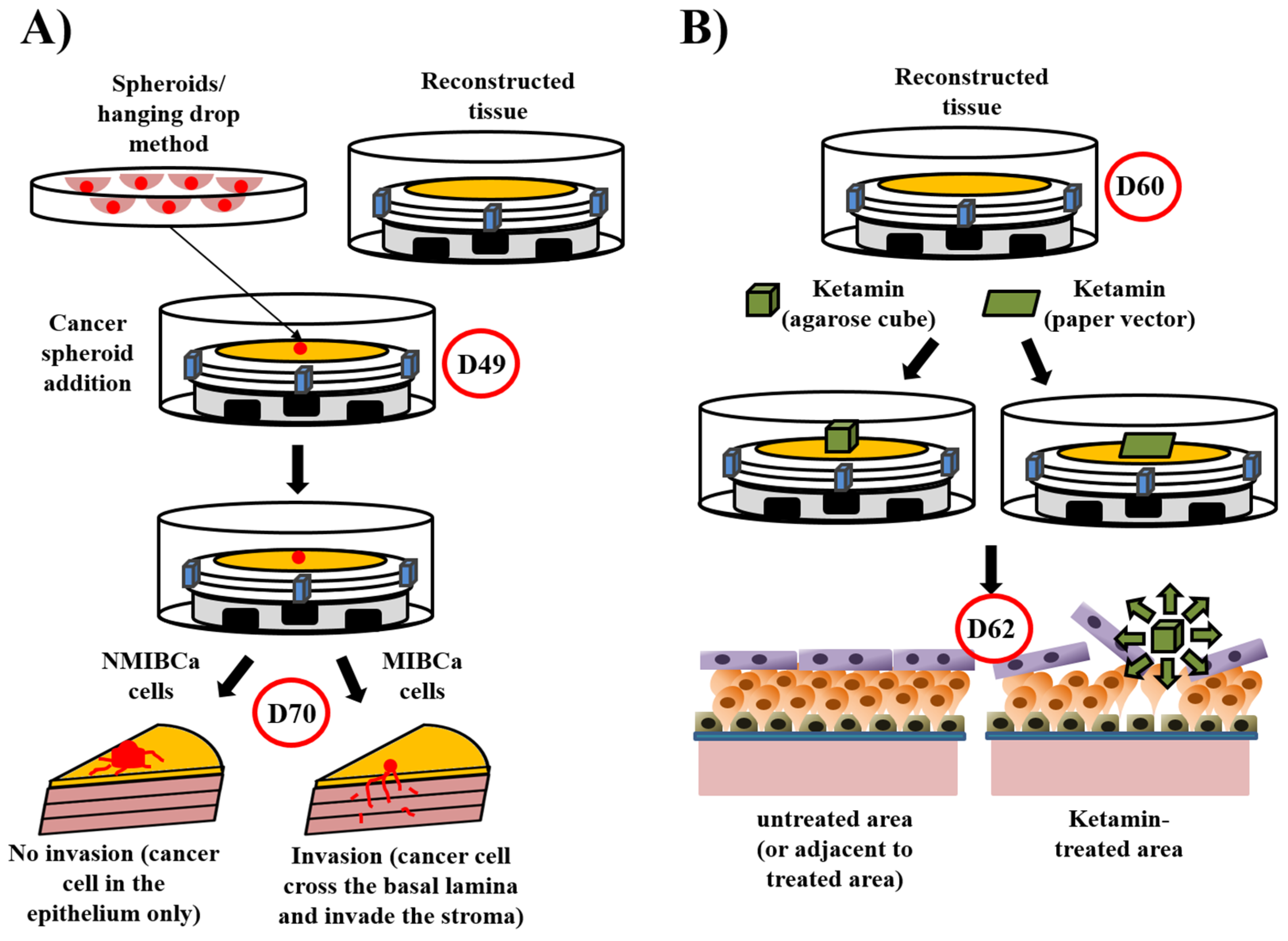Bioengineering 08 00099 g004