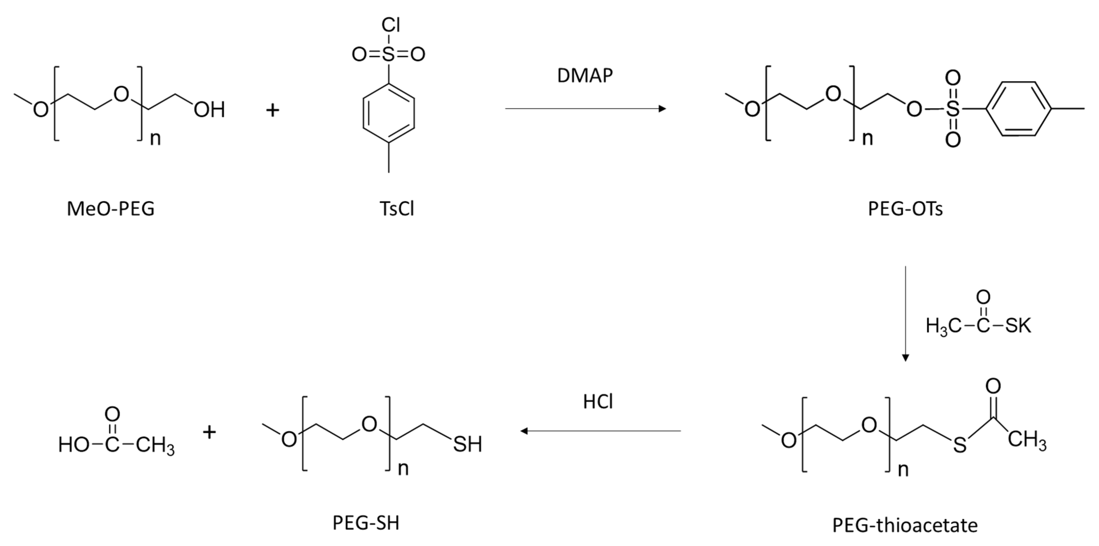 Bioengineering 08 00121 g005