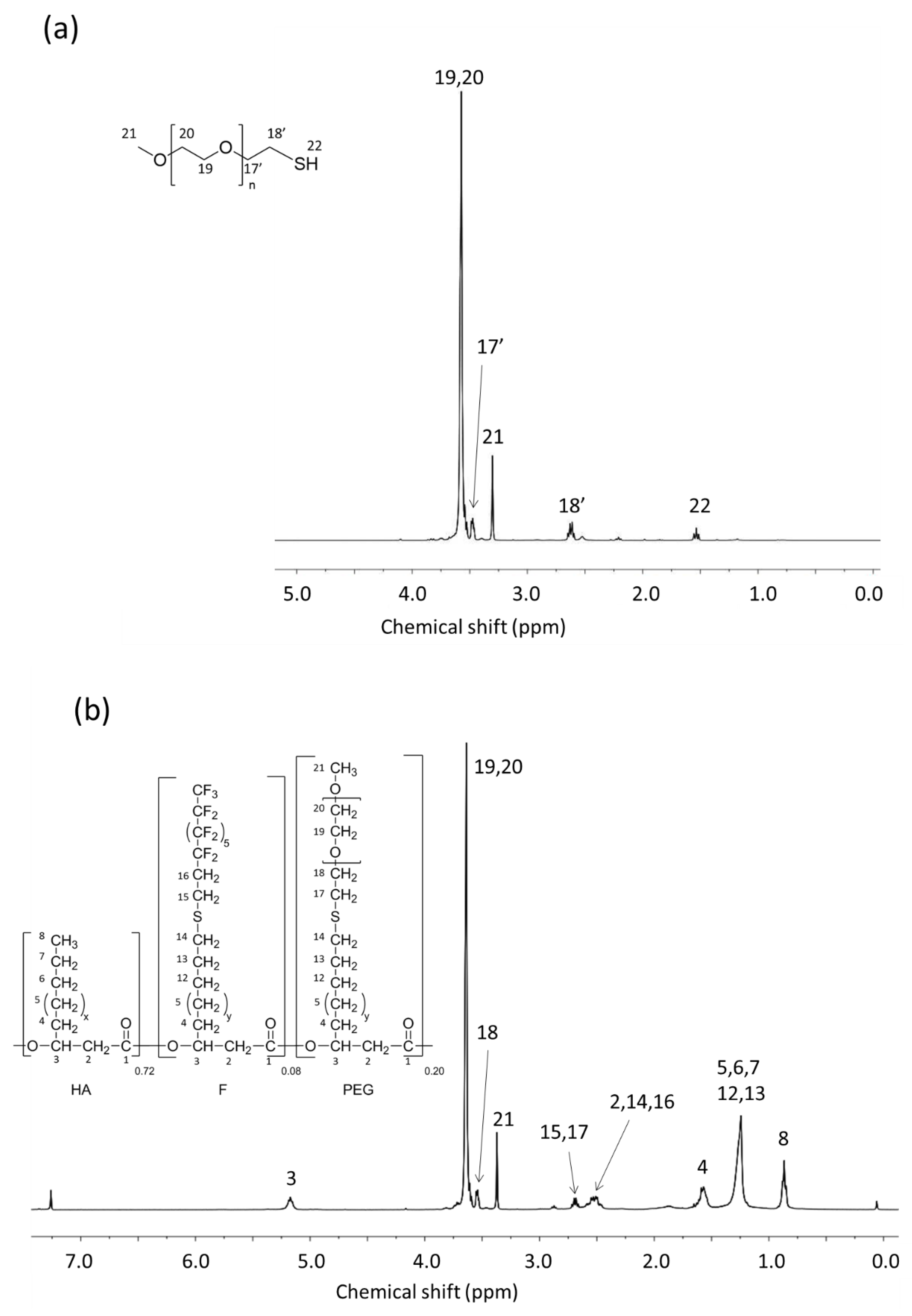 Bioengineering 08 00121 g006