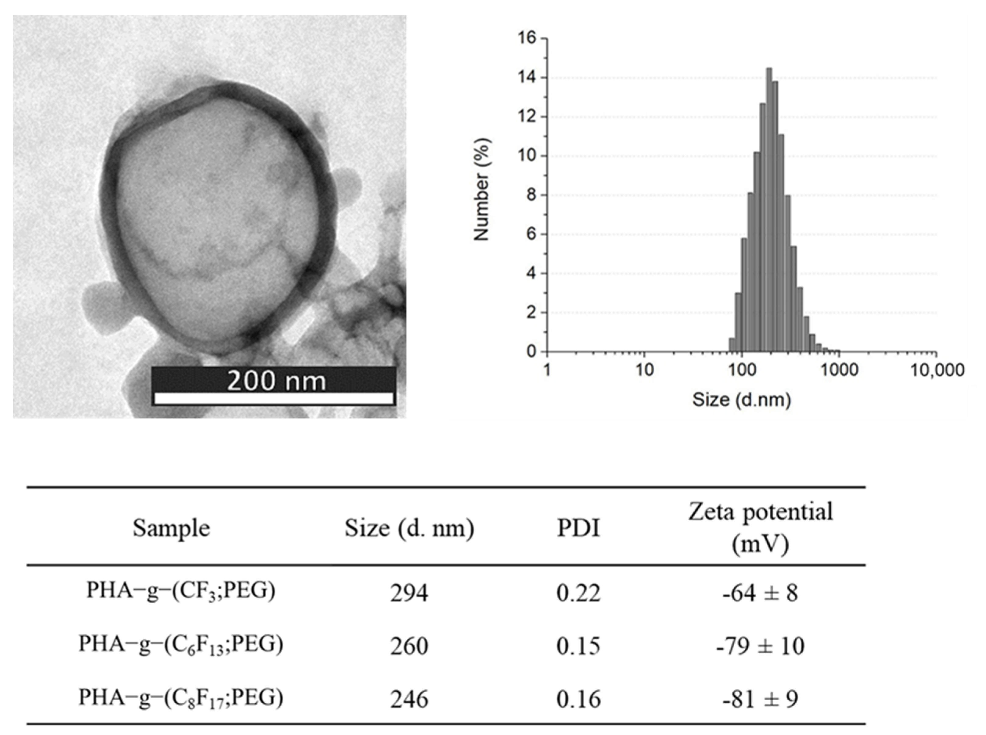 Bioengineering 08 00121 g008