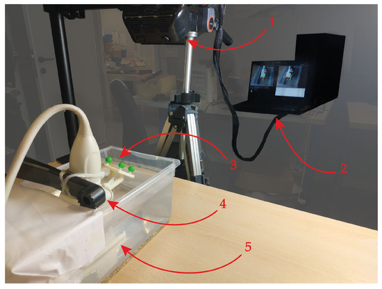 Bioengineering 08 00131 g005 550