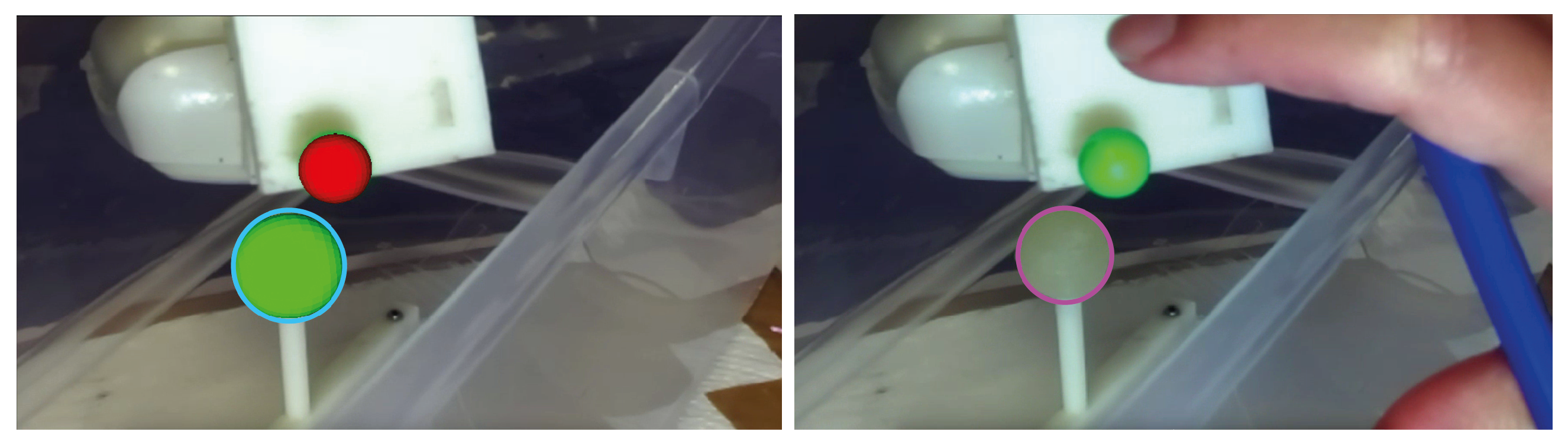 Bioengineering 08 00131 g007