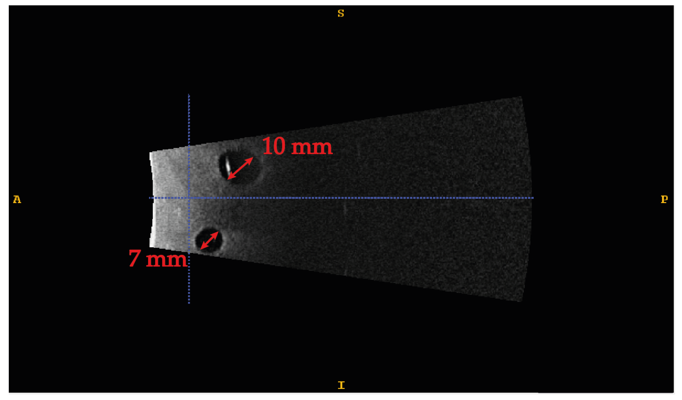 Bioengineering 08 00131 g008