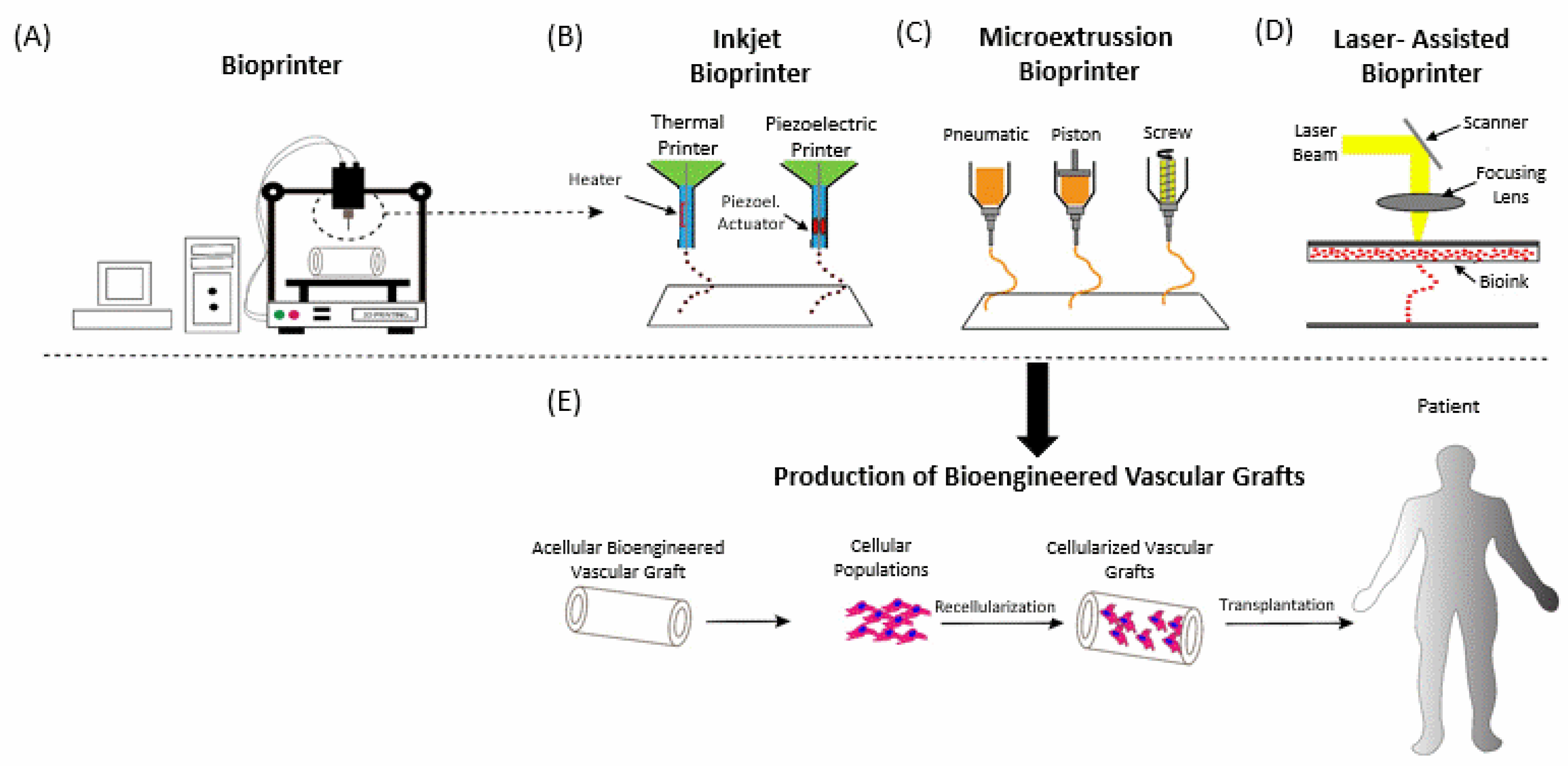 Bioengineering 08 00133 g001