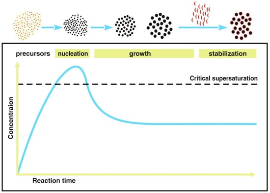 Bioengineering 08 00134 g002 550