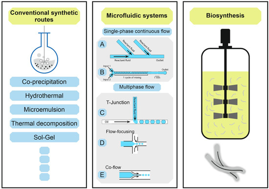 Bioengineering 08 00134 g003 550