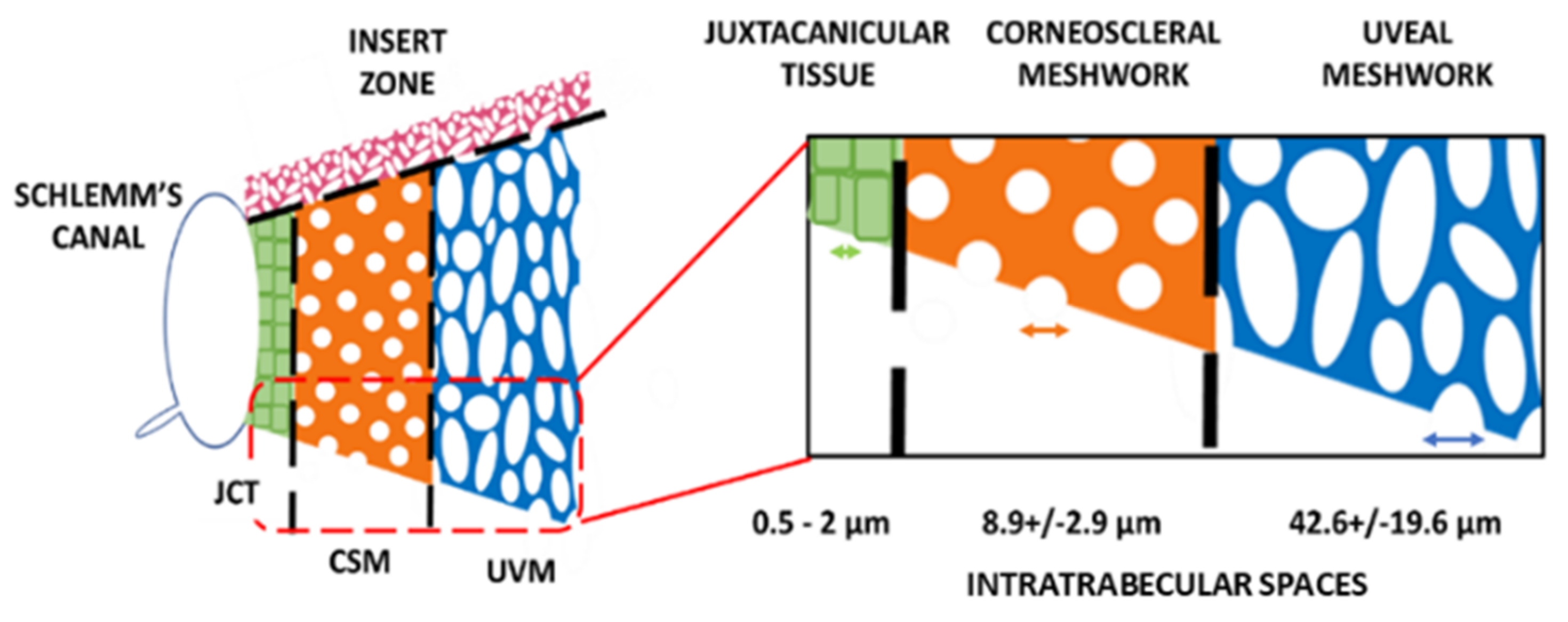 Bioengineering 08 00135 g010