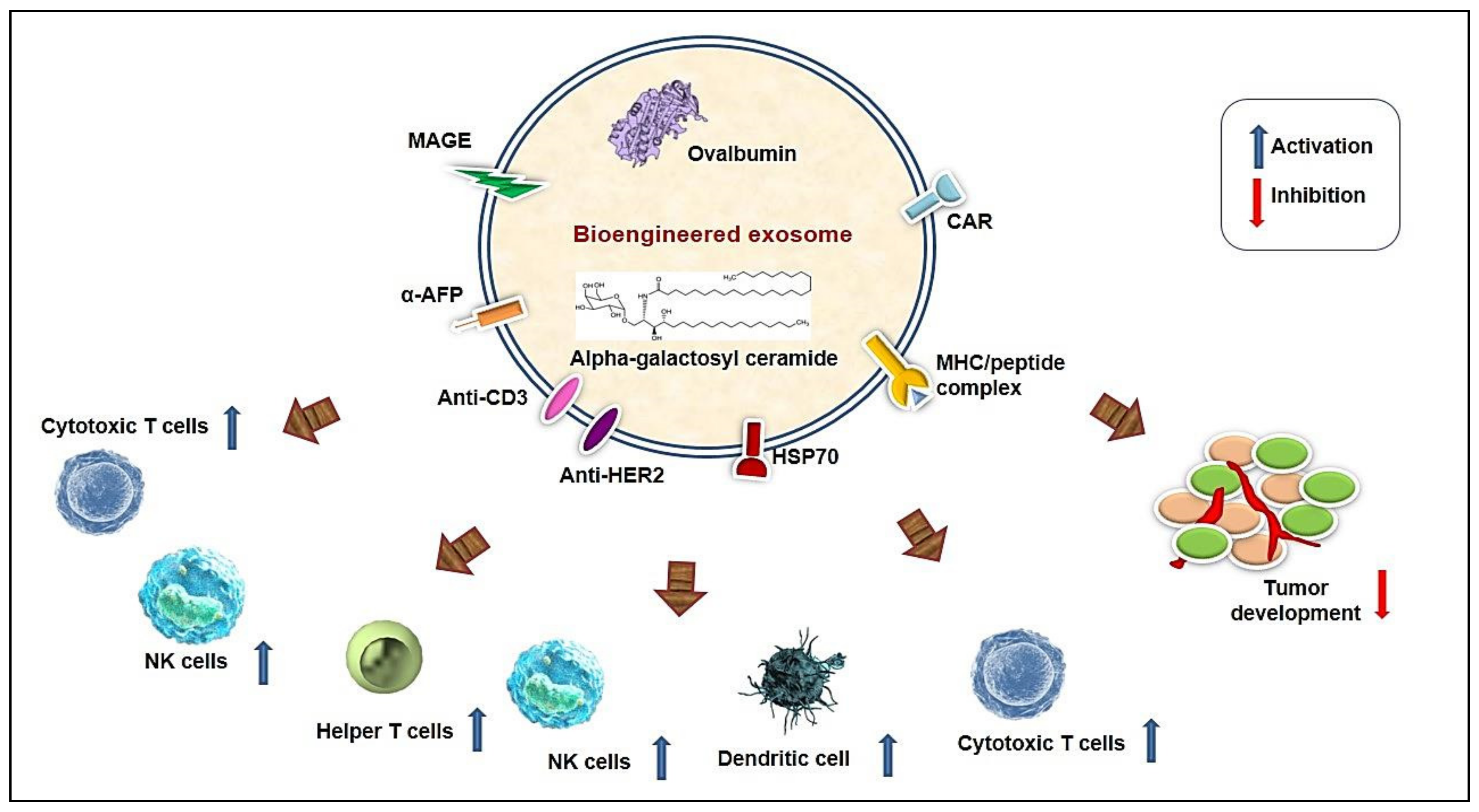 Bioengineering 08 00139 g002