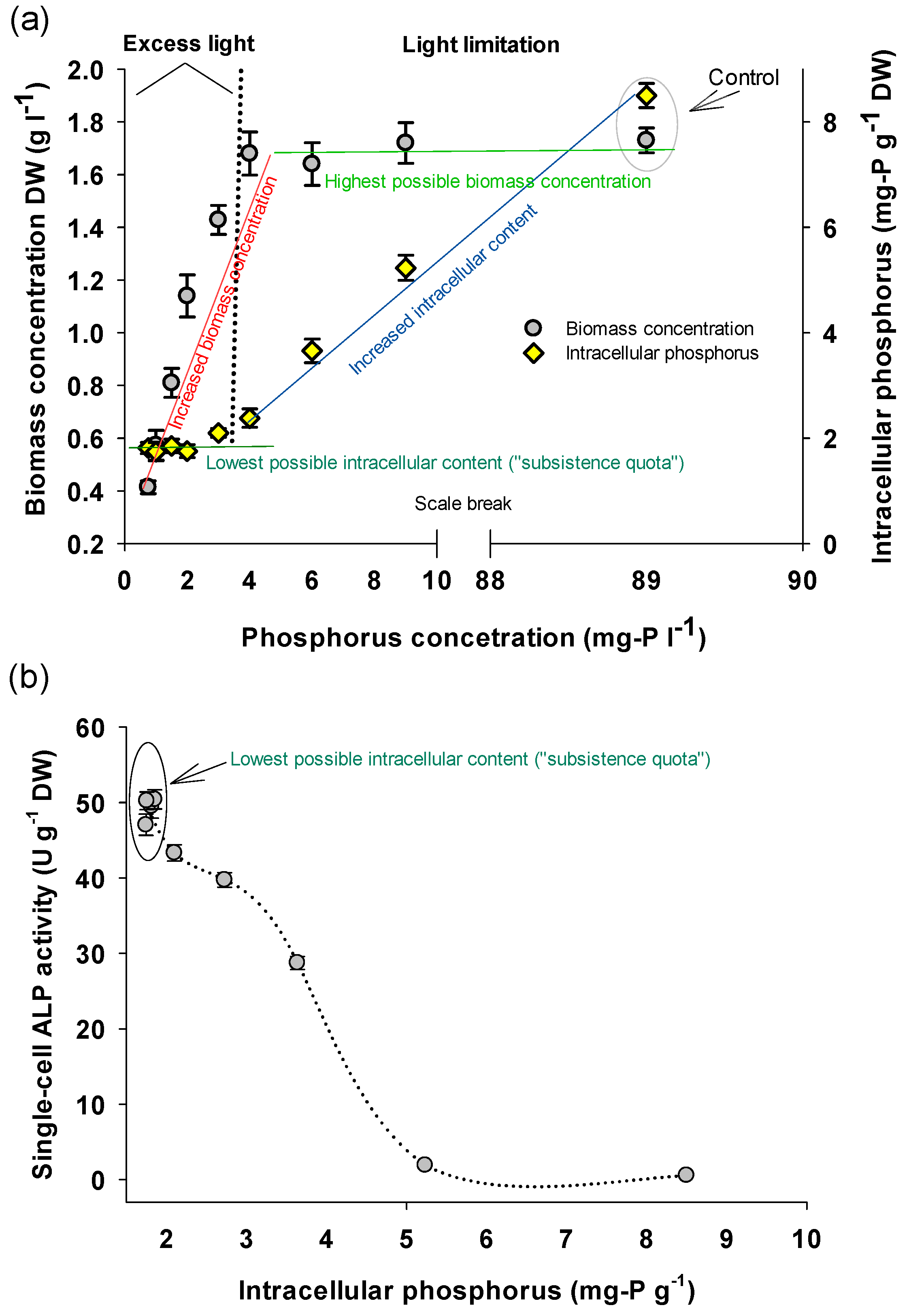 Bioengineering 08 00142 g001
