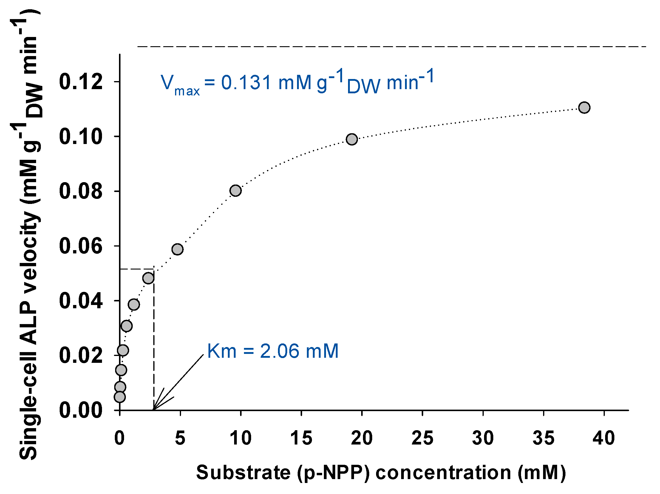 Bioengineering 08 00142 g003