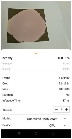 Bioengineering 08 00150 g0a2 550