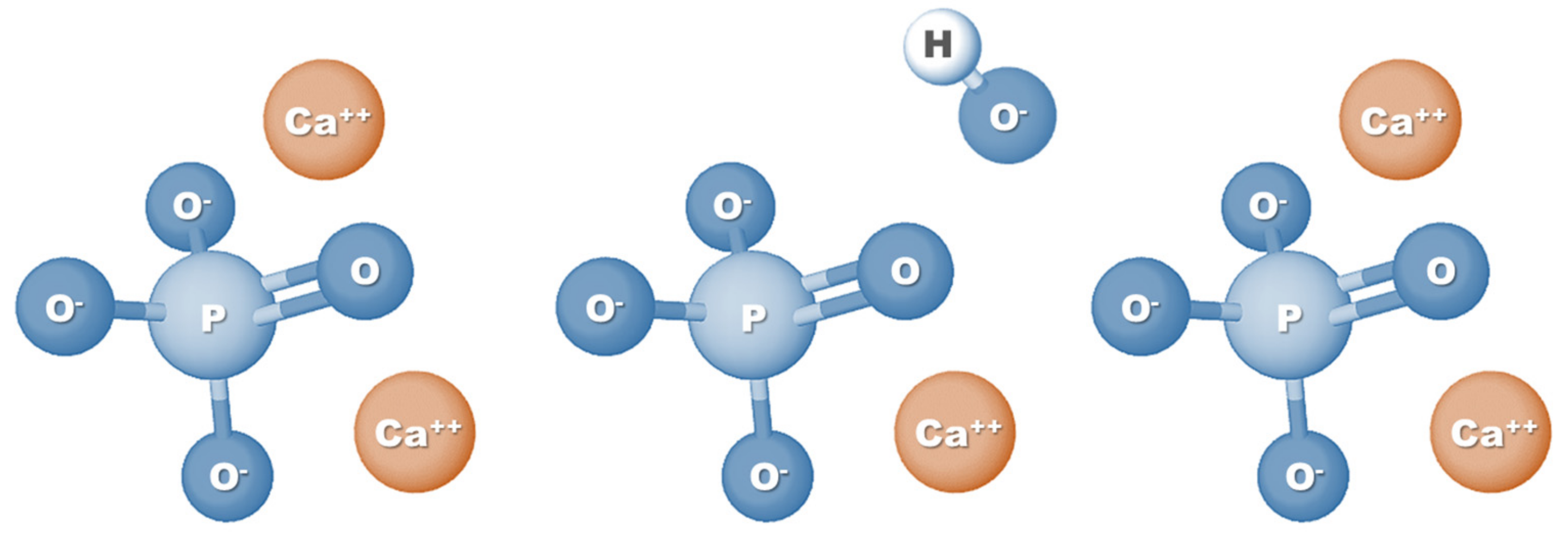 Bioengineering 08 00151 g001