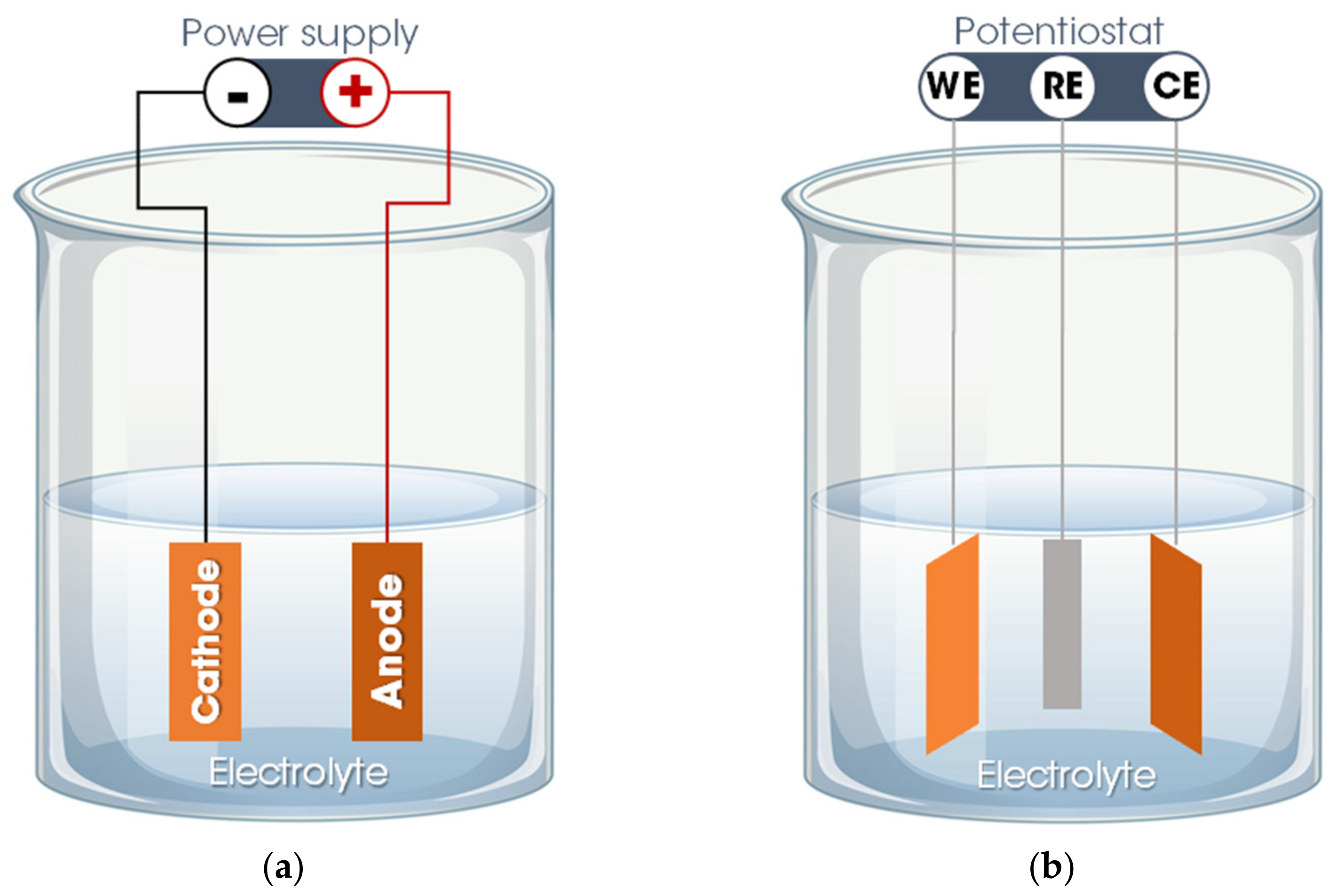 Bioengineering 08 00151 g002