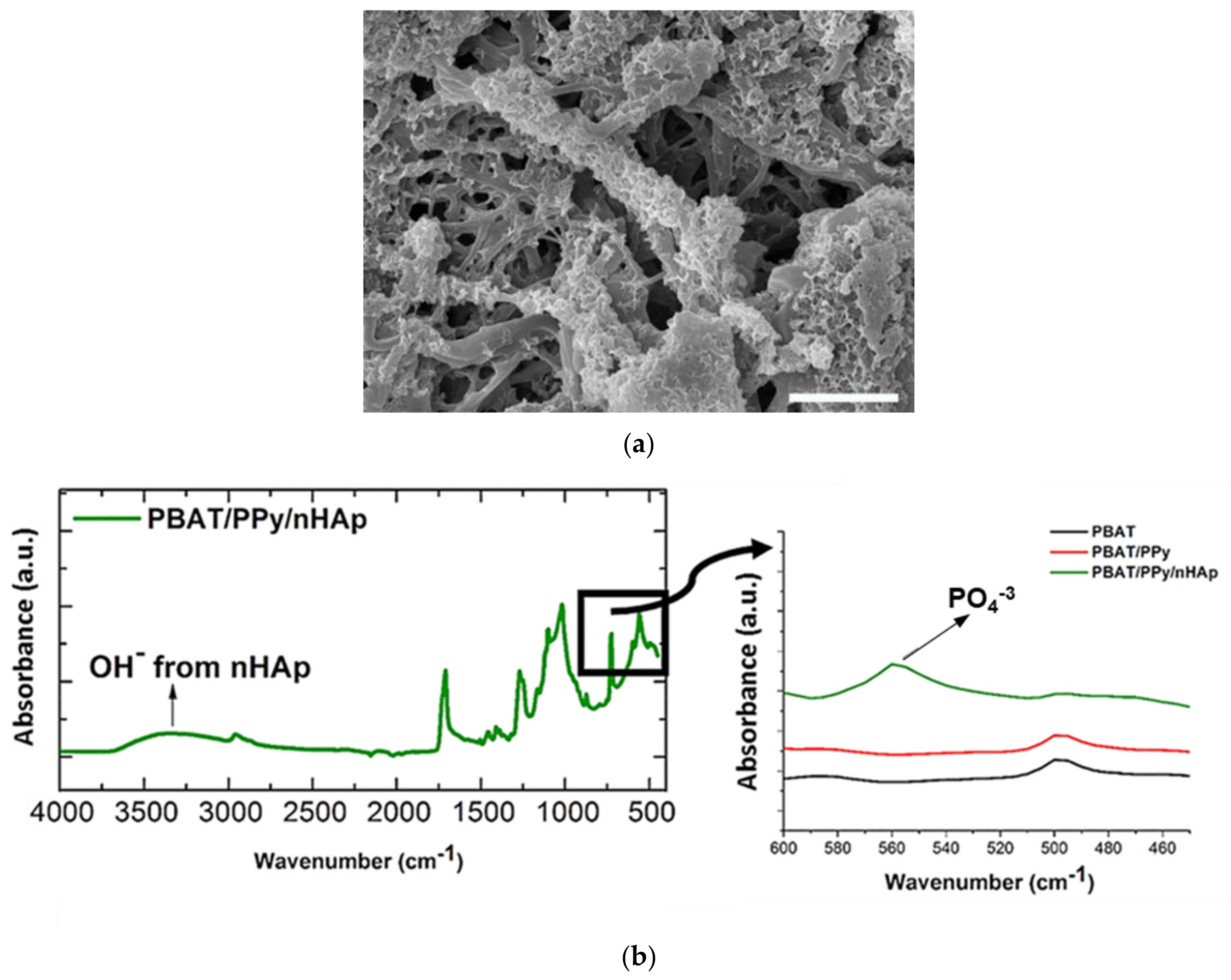 Bioengineering 08 00151 g004