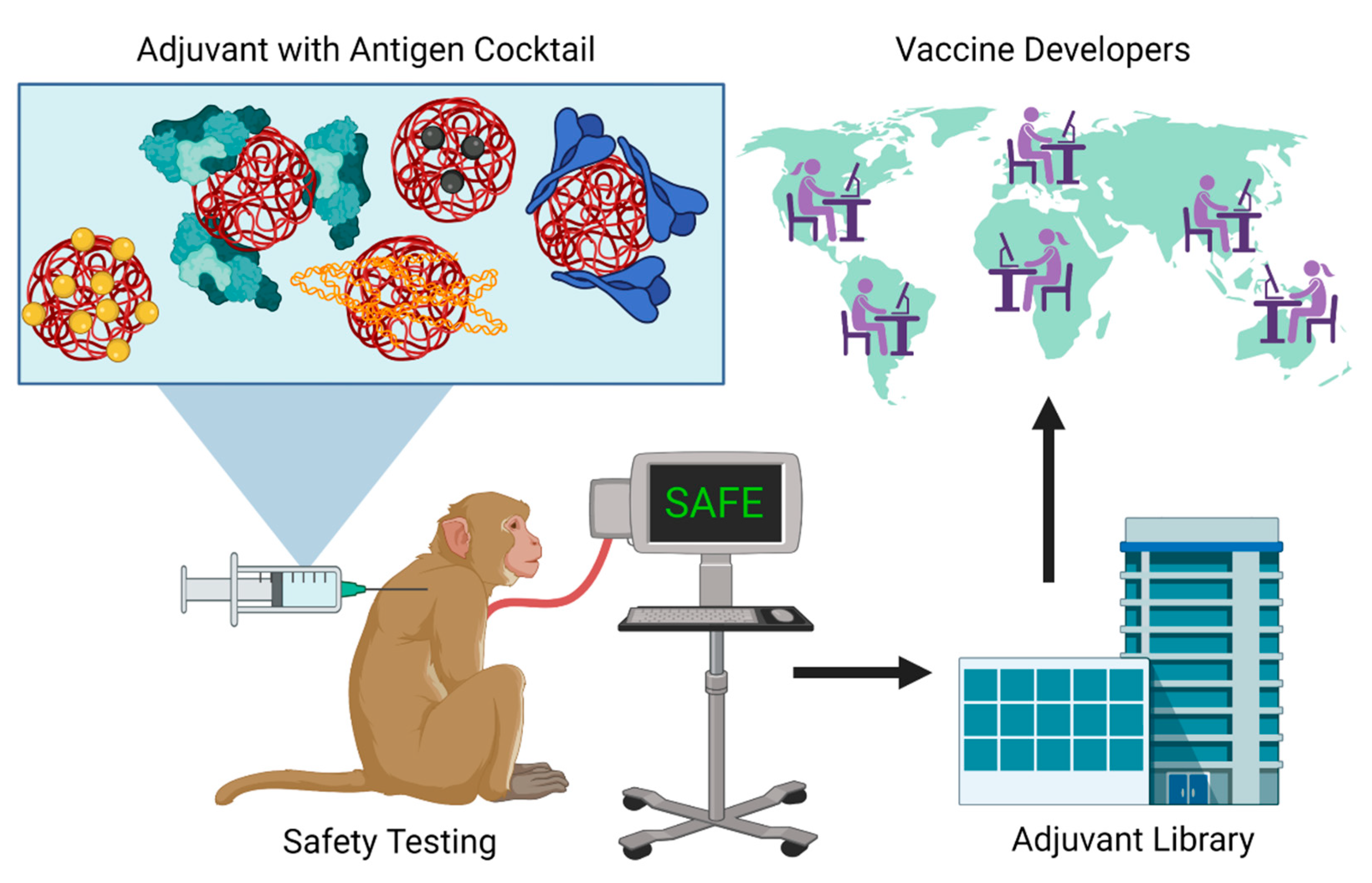 Bioengineering 08 00155 g002