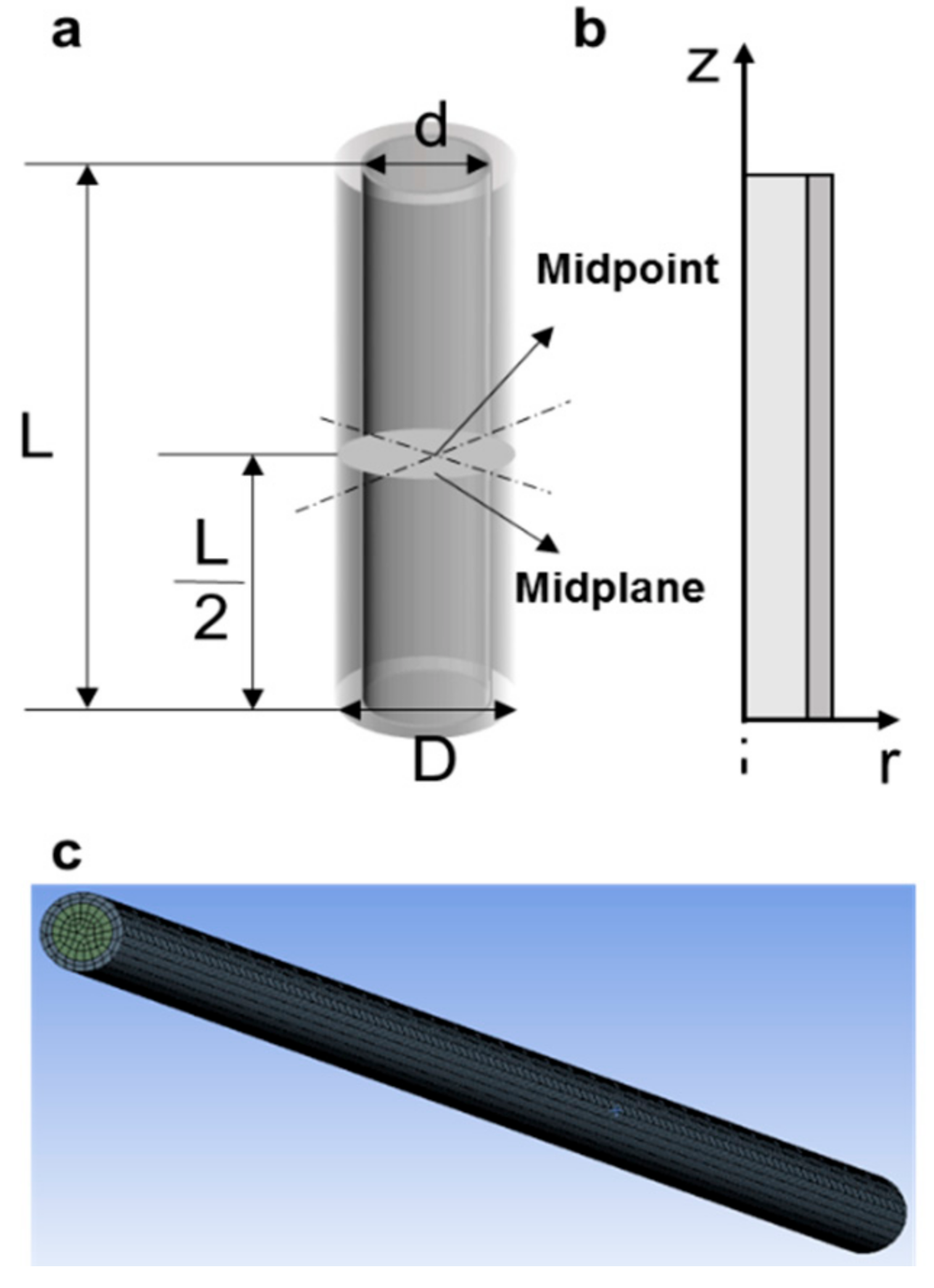 Bioengineering 08 00162 g001