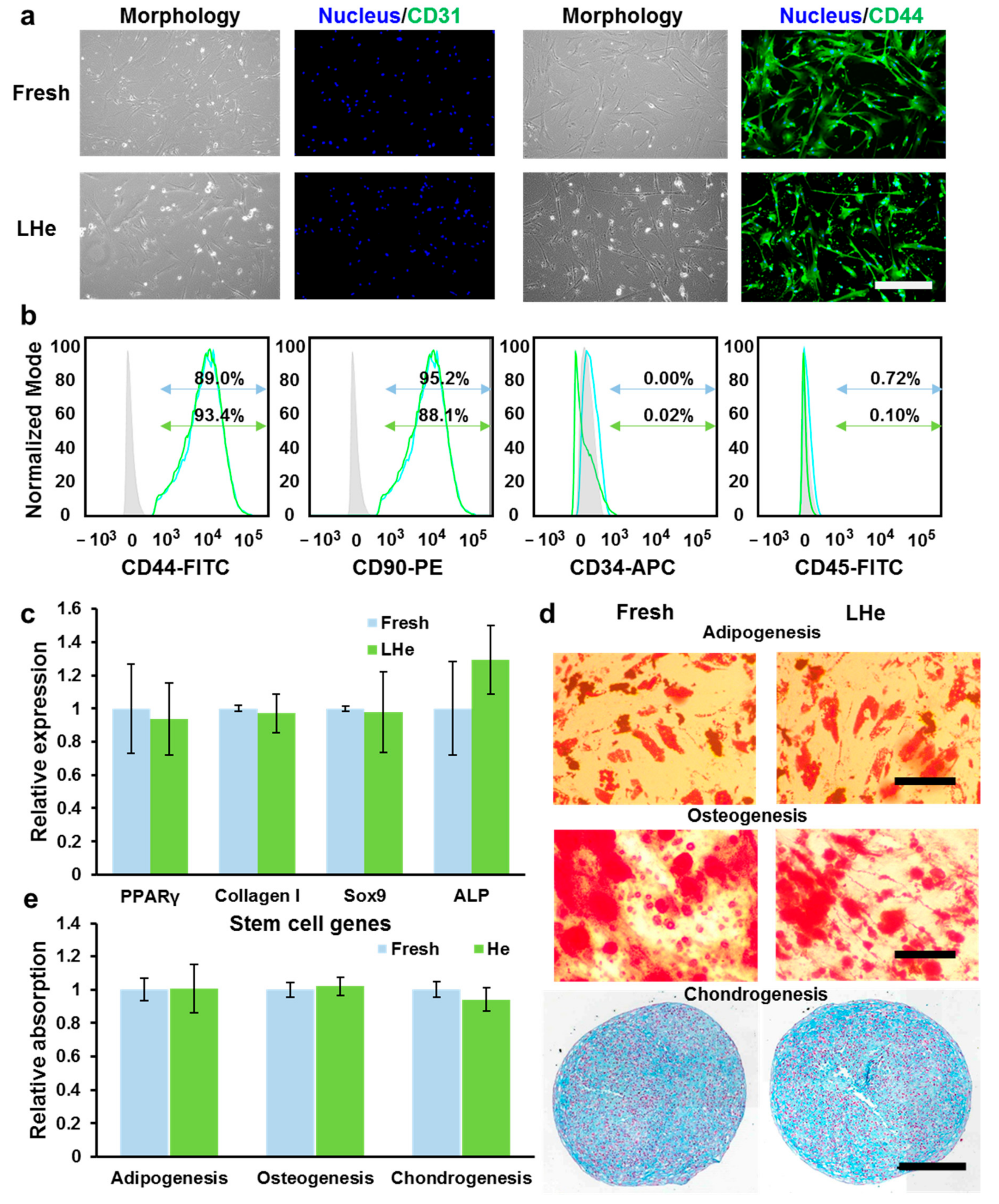 Bioengineering 08 00162 g006