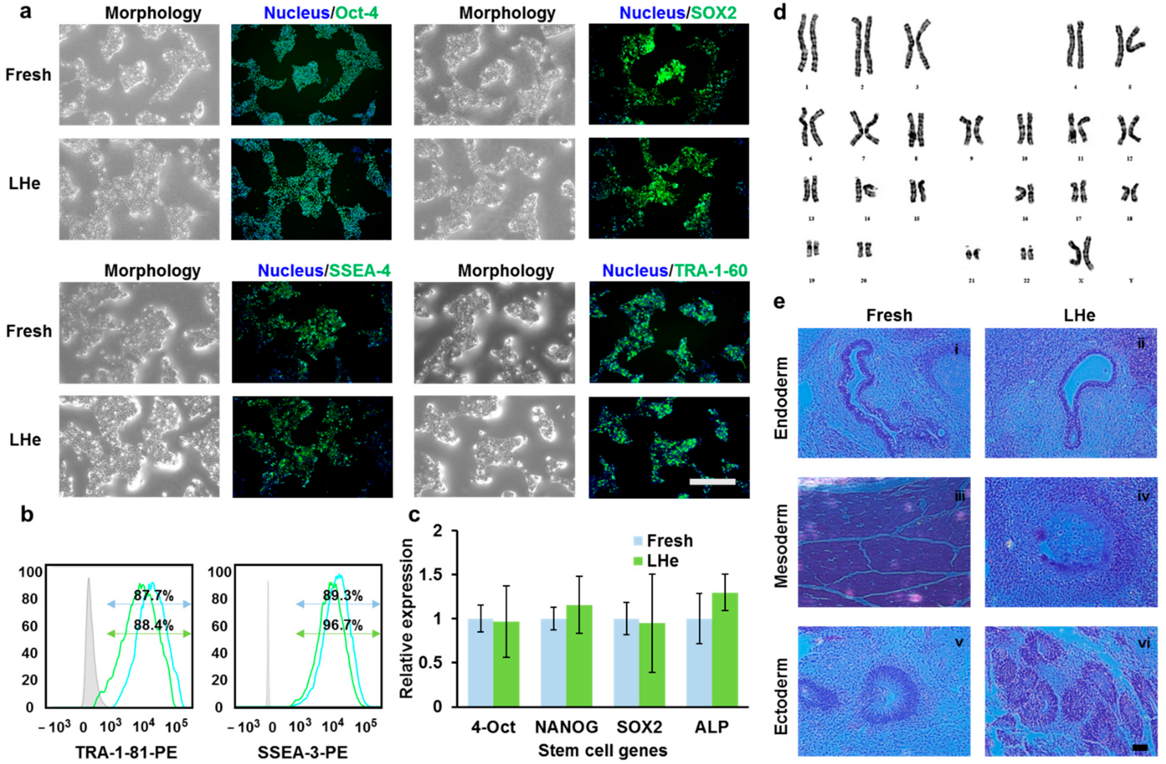Bioengineering 08 00162 g007