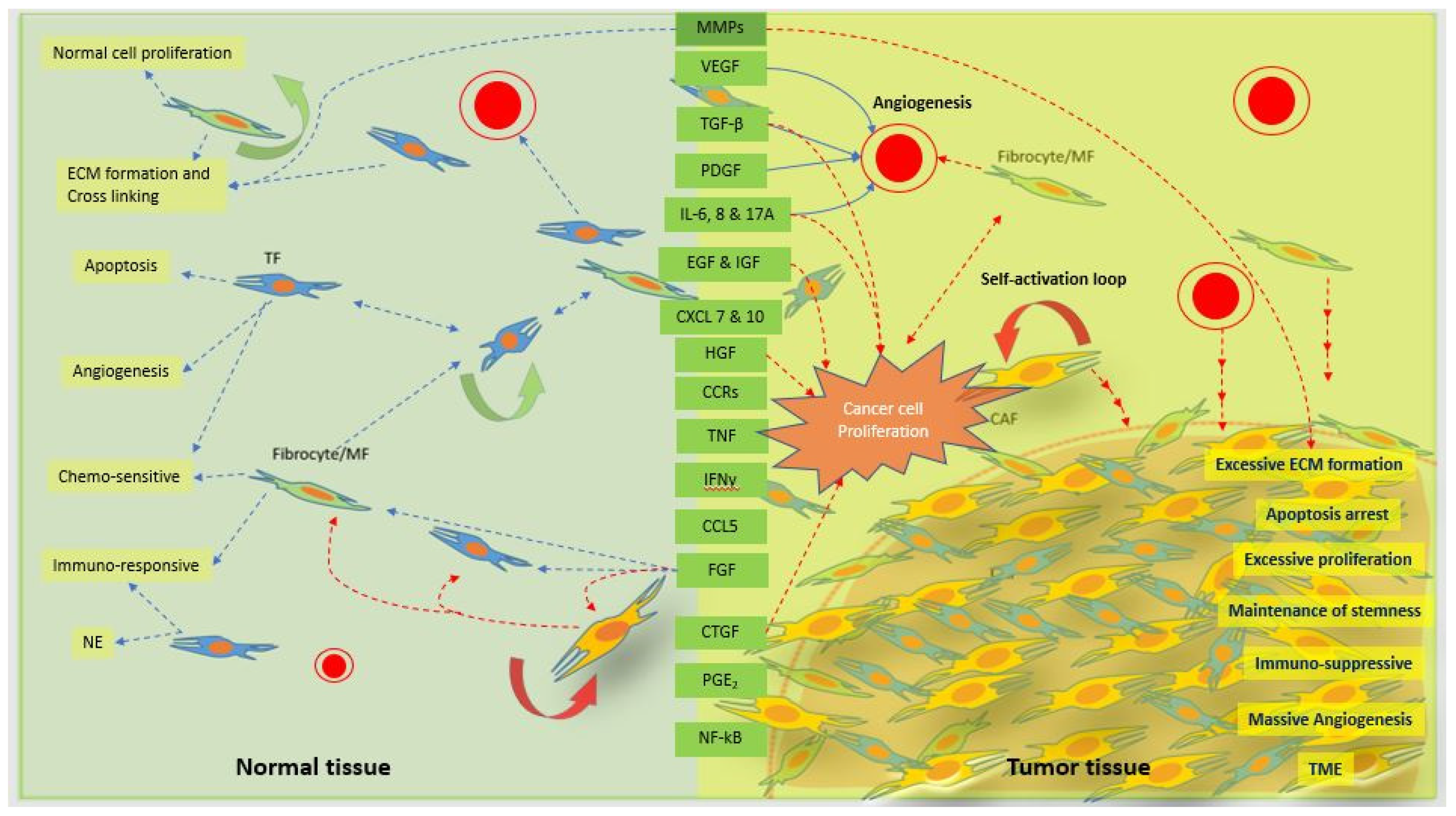 Bioengineering 08 00163 g003