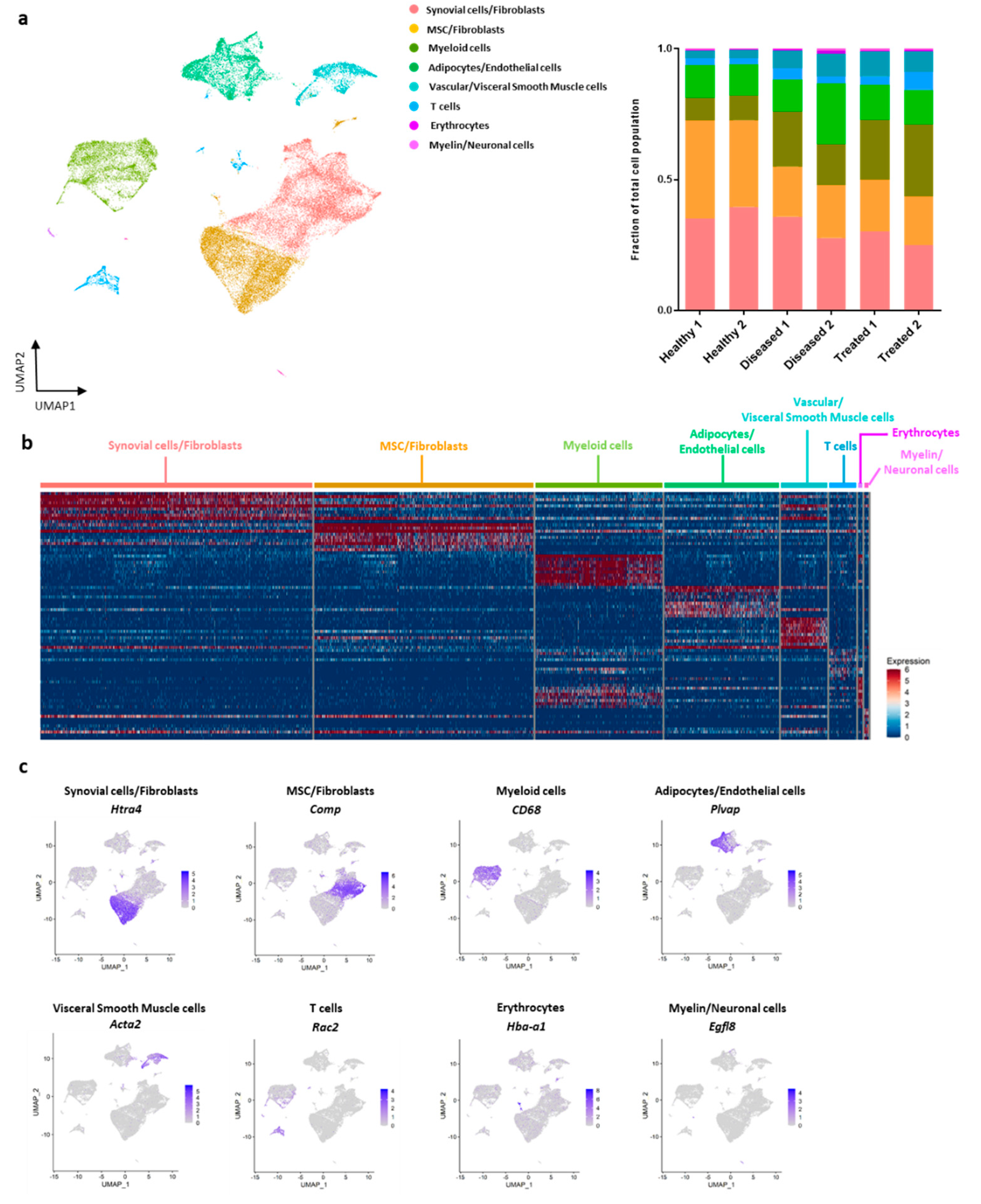 Bioengineering 08 00166 g002