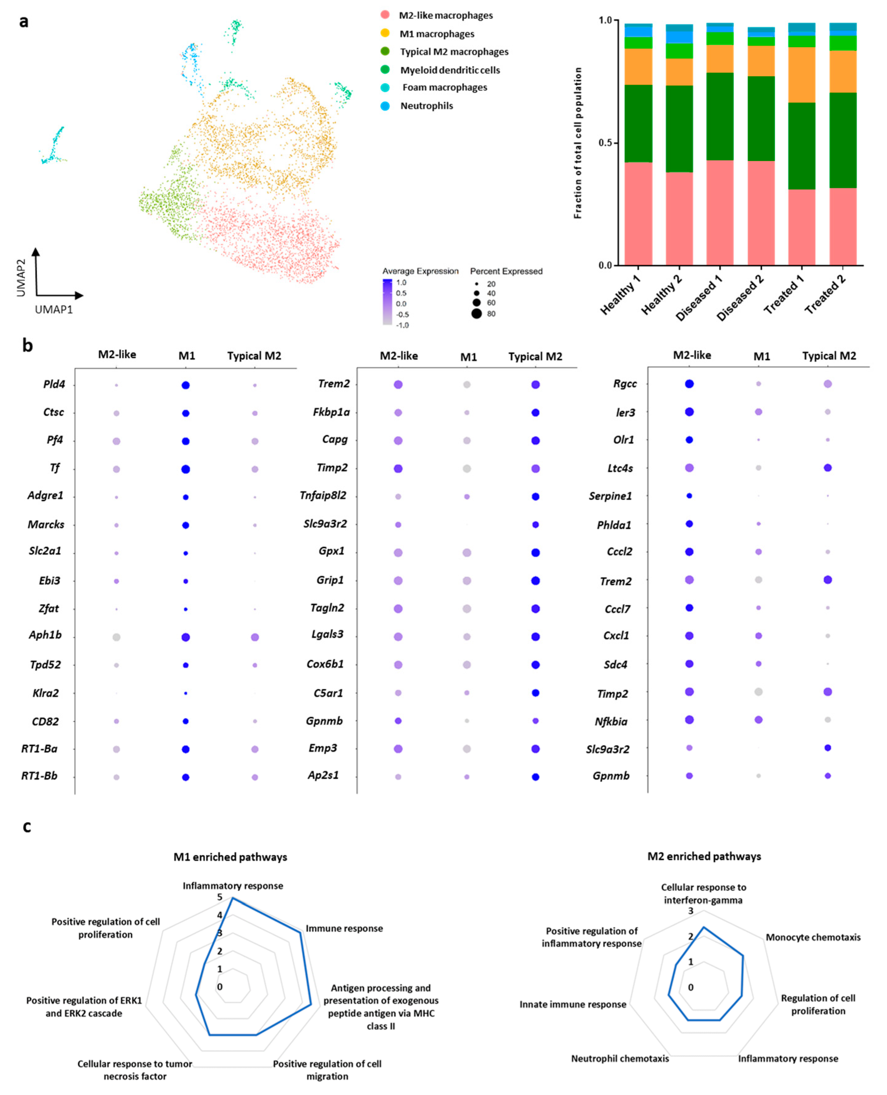 Bioengineering 08 00166 g003